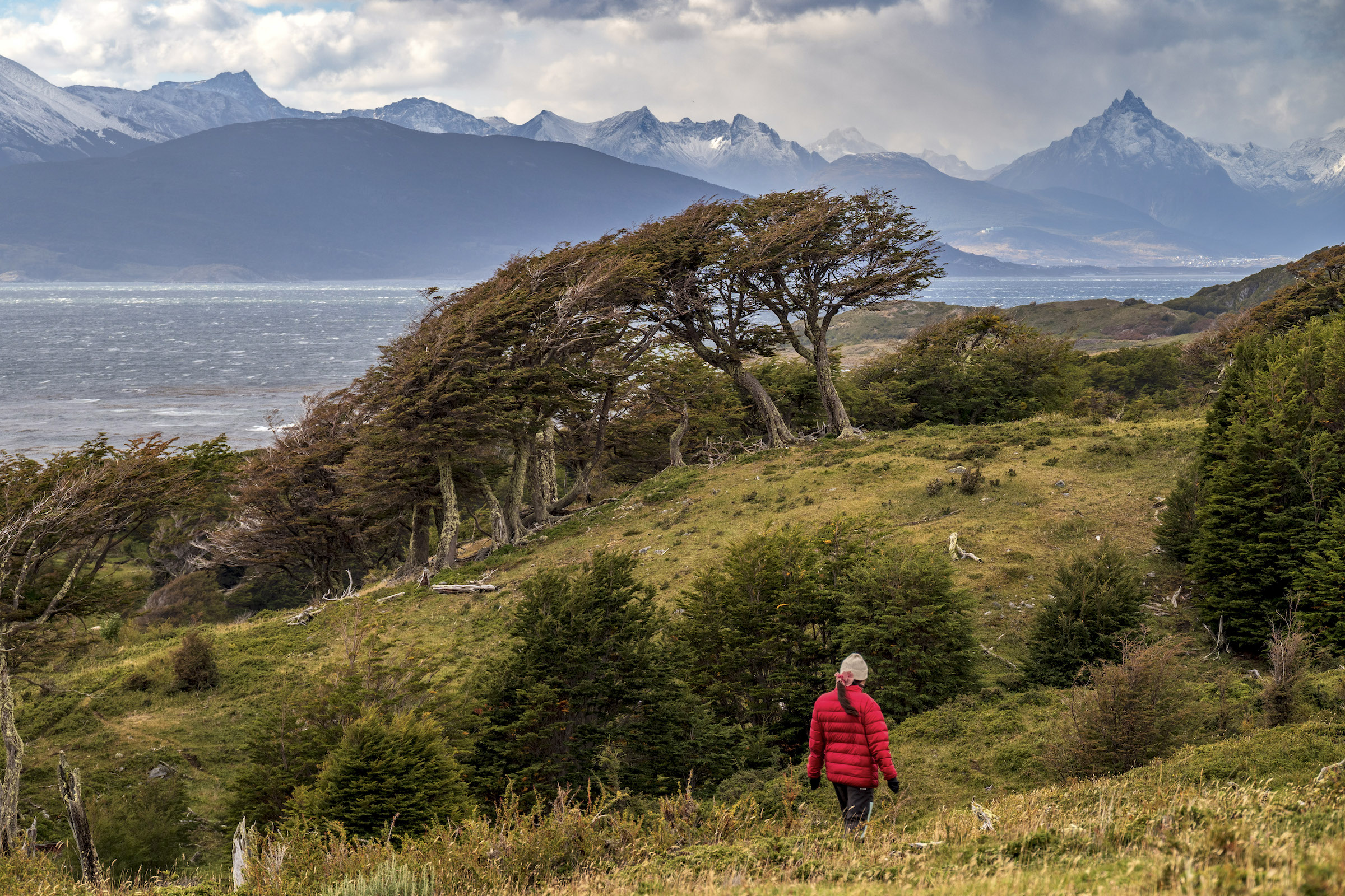 Day hiking along the Beagle Channel on Navarino Island in Tierra del Fuego