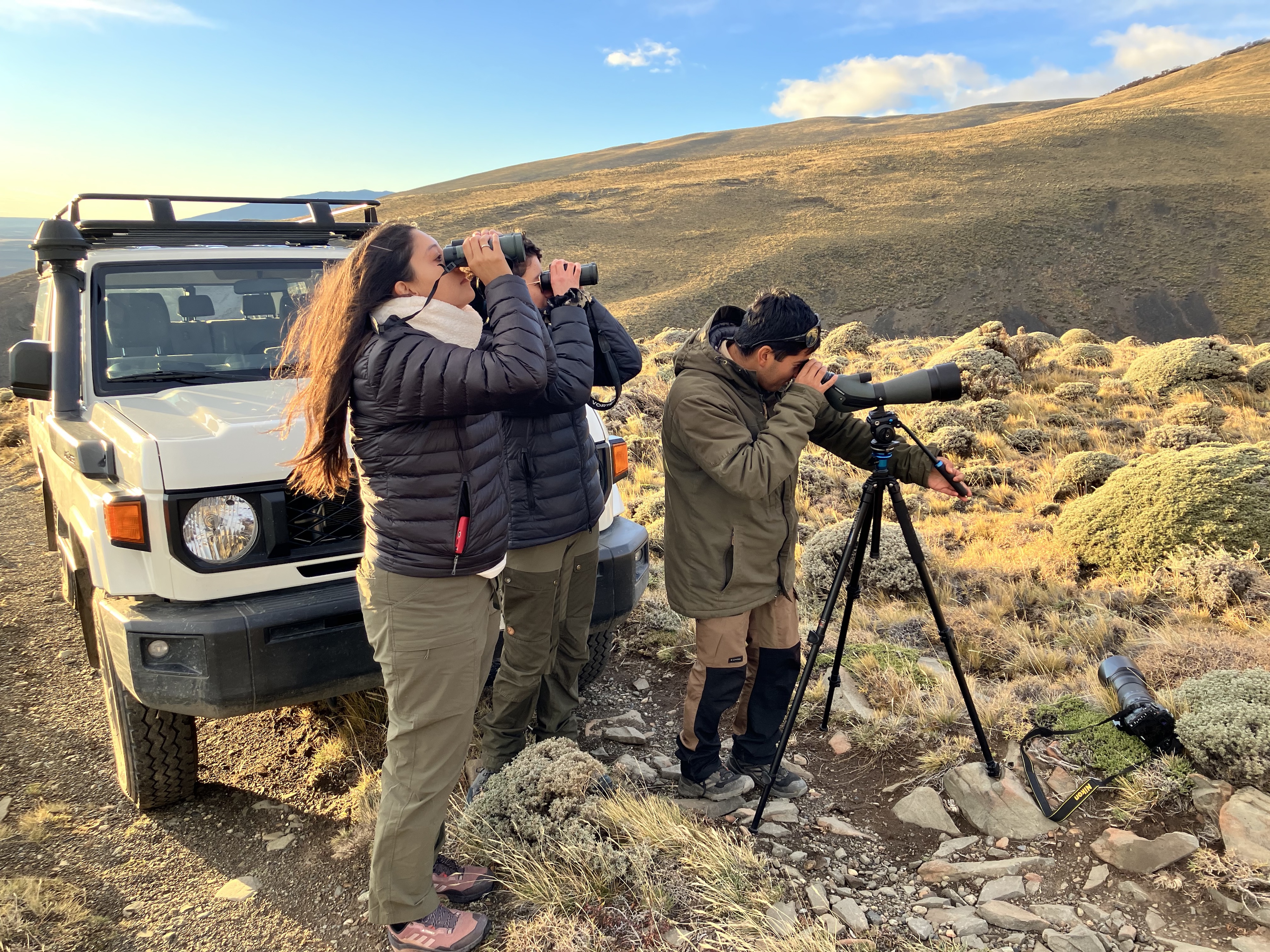 The Best of Paine From Estancia Cerro Guido & Patagonia Camp
