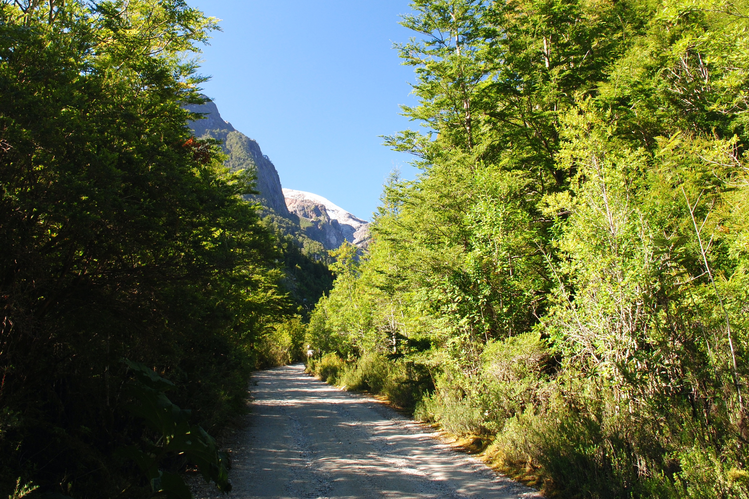 Queulat National Park