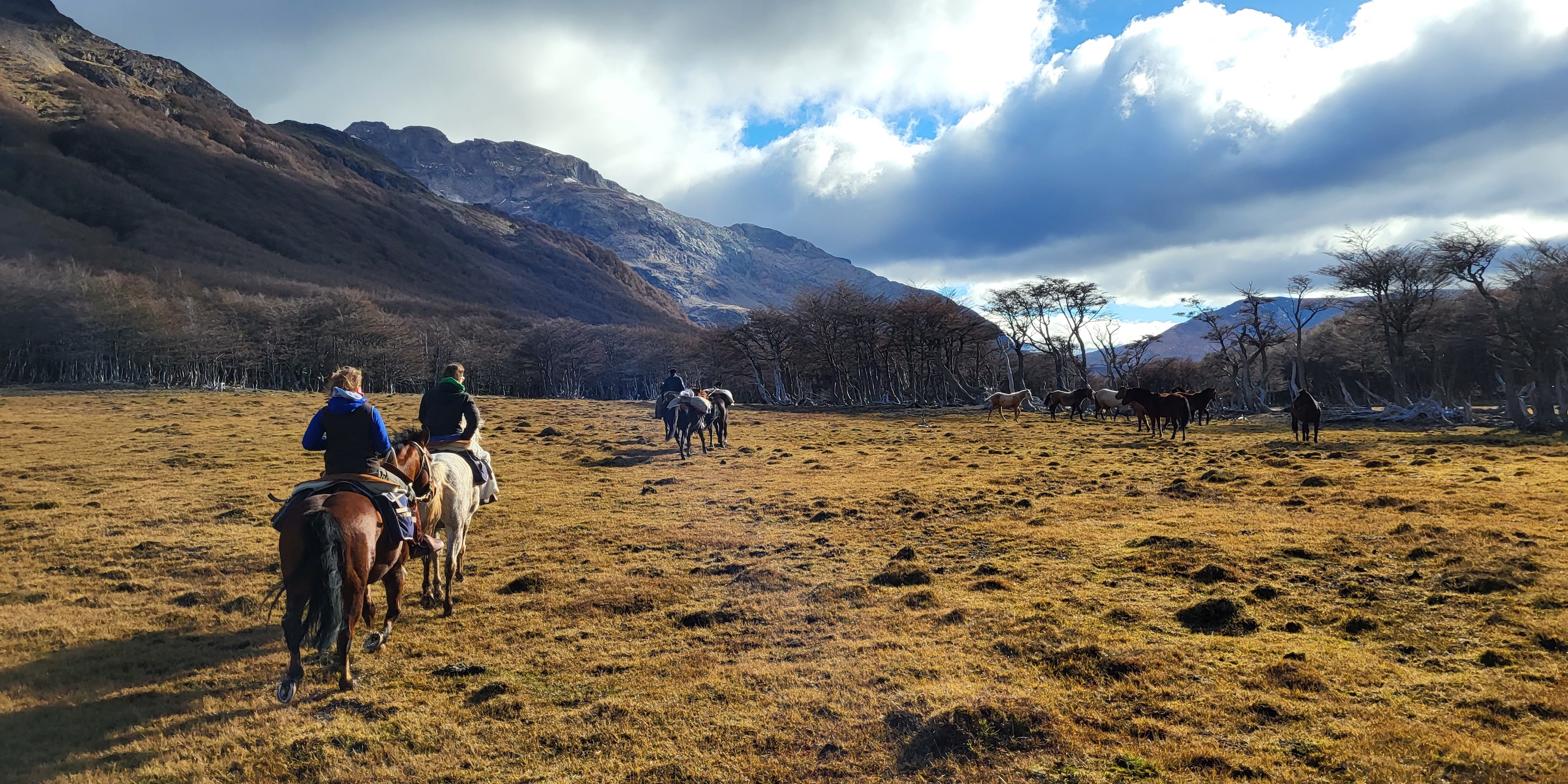 Horse riding in Aysen