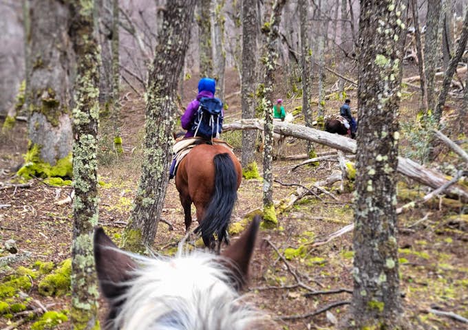 Horse riding in Aysen