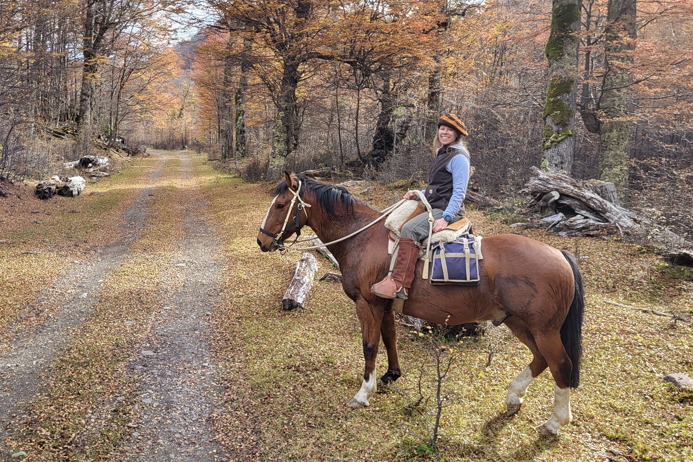 Backcountry horse riding in Patagonia