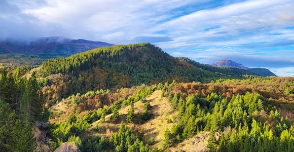 Coyhaique Reserve