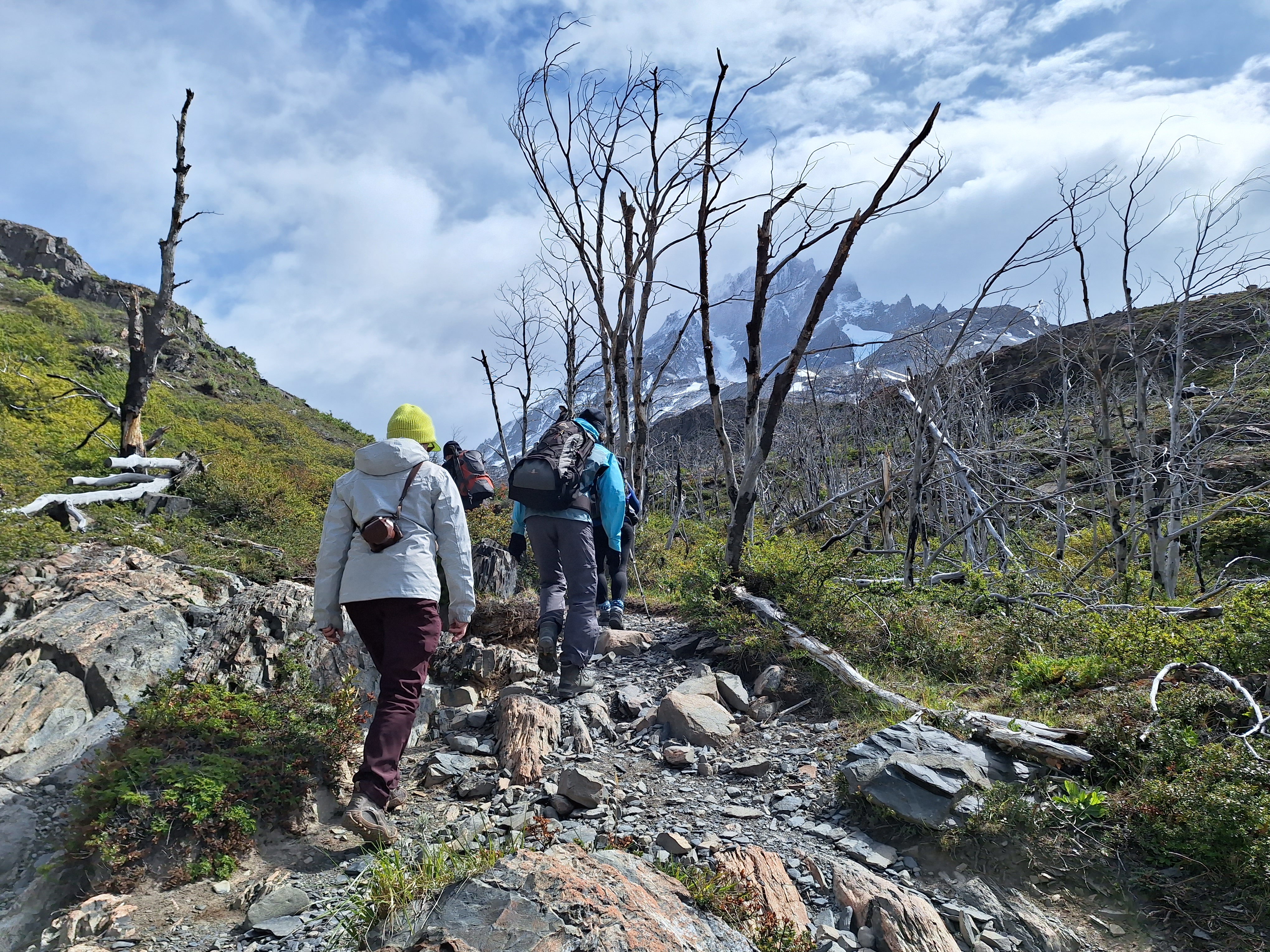 Lewis - Glacier Grey Viewpoint Hike