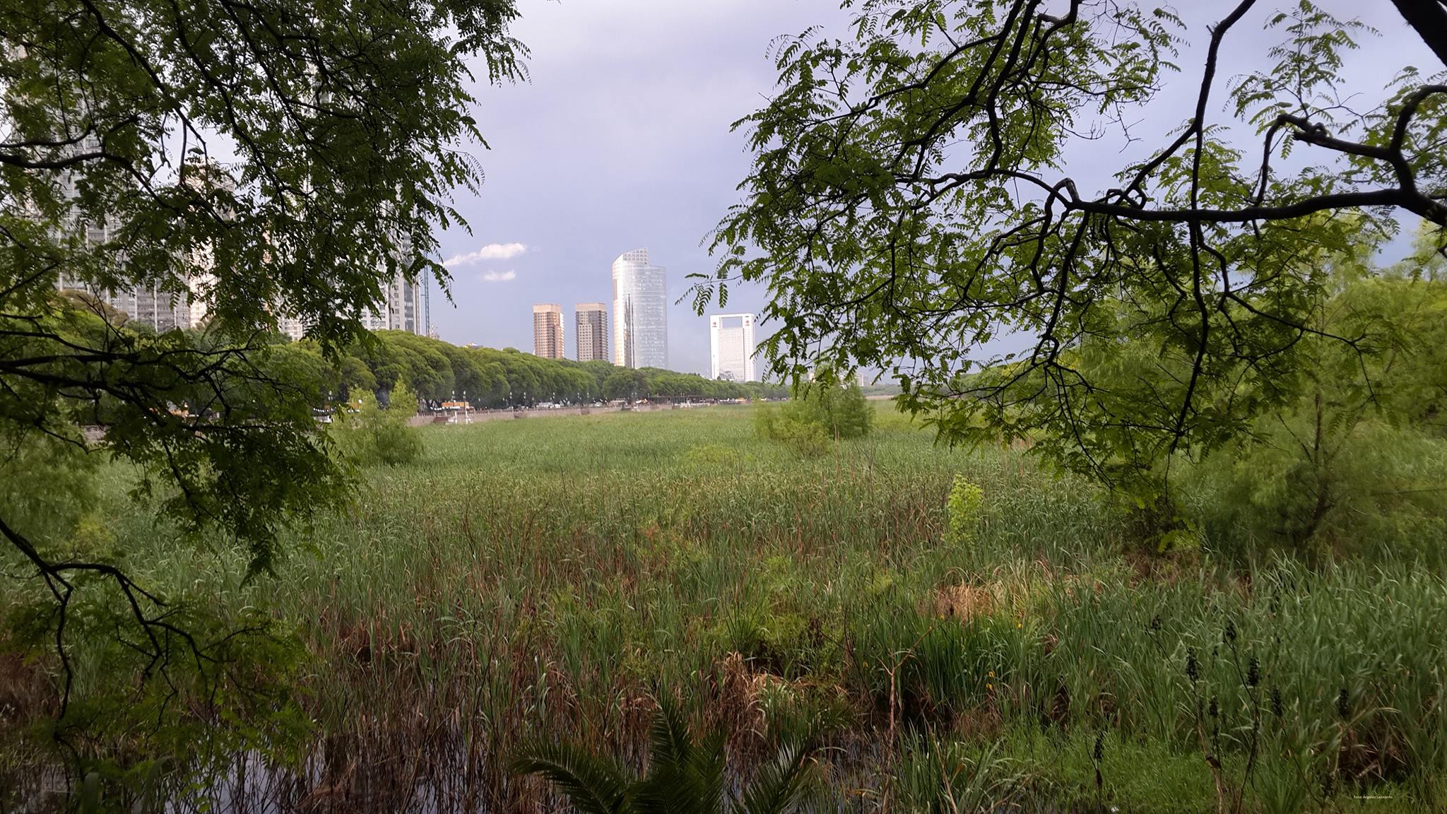 Buenos Aires Ecological Reserve 