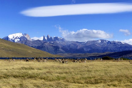 Laguna Azul, Torres del Paine, Patagonia, Chile