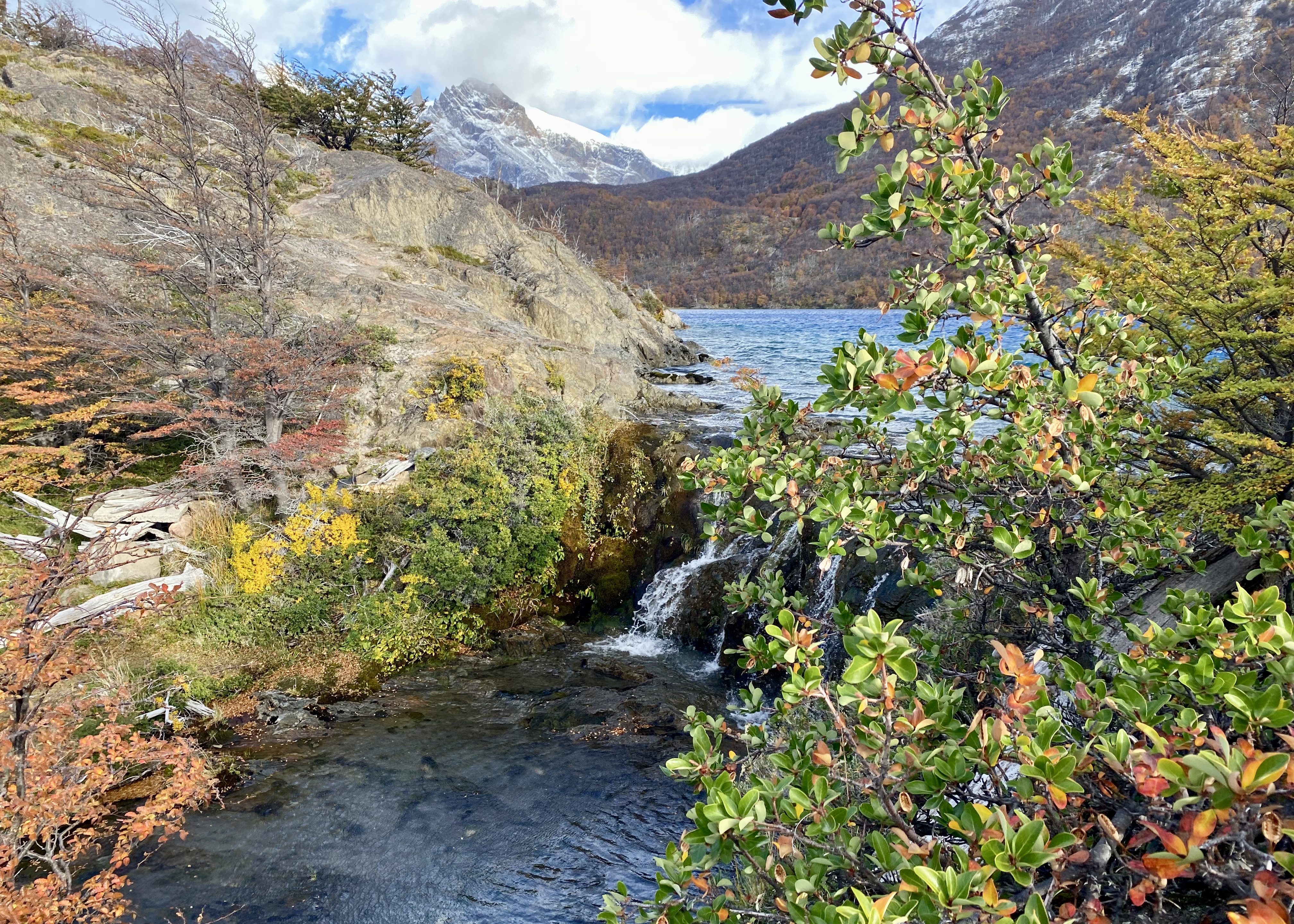 River in Los Huemules Reserve