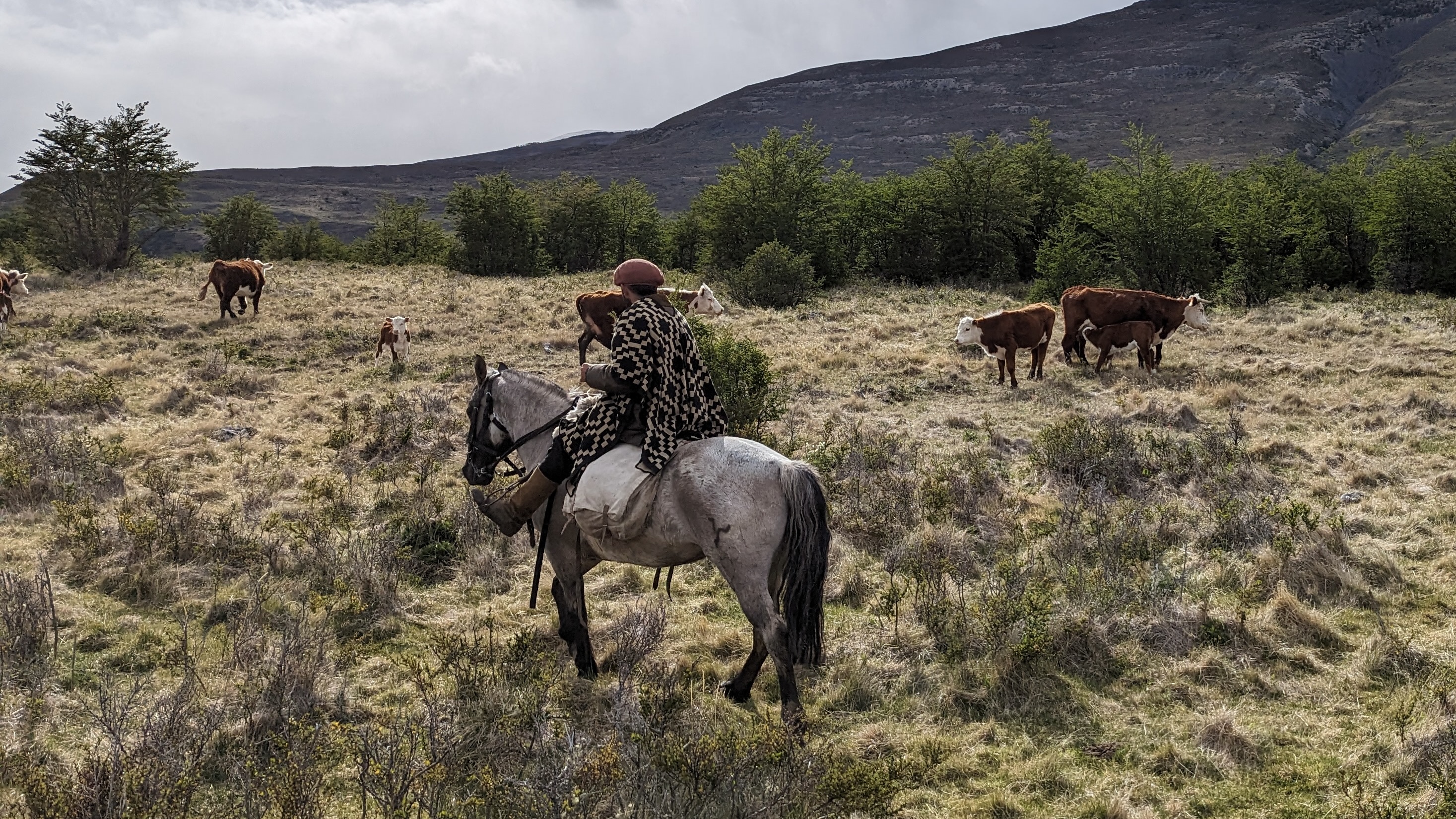 Backcountry horse riding in Patagonia