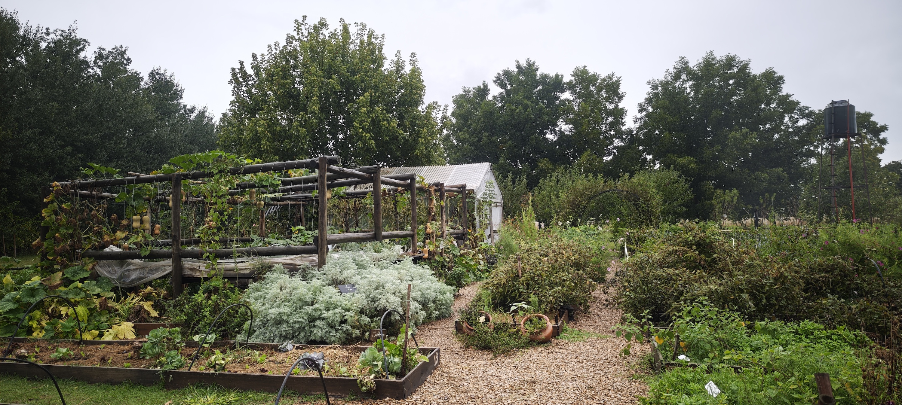 Estancia la Bandada - garden