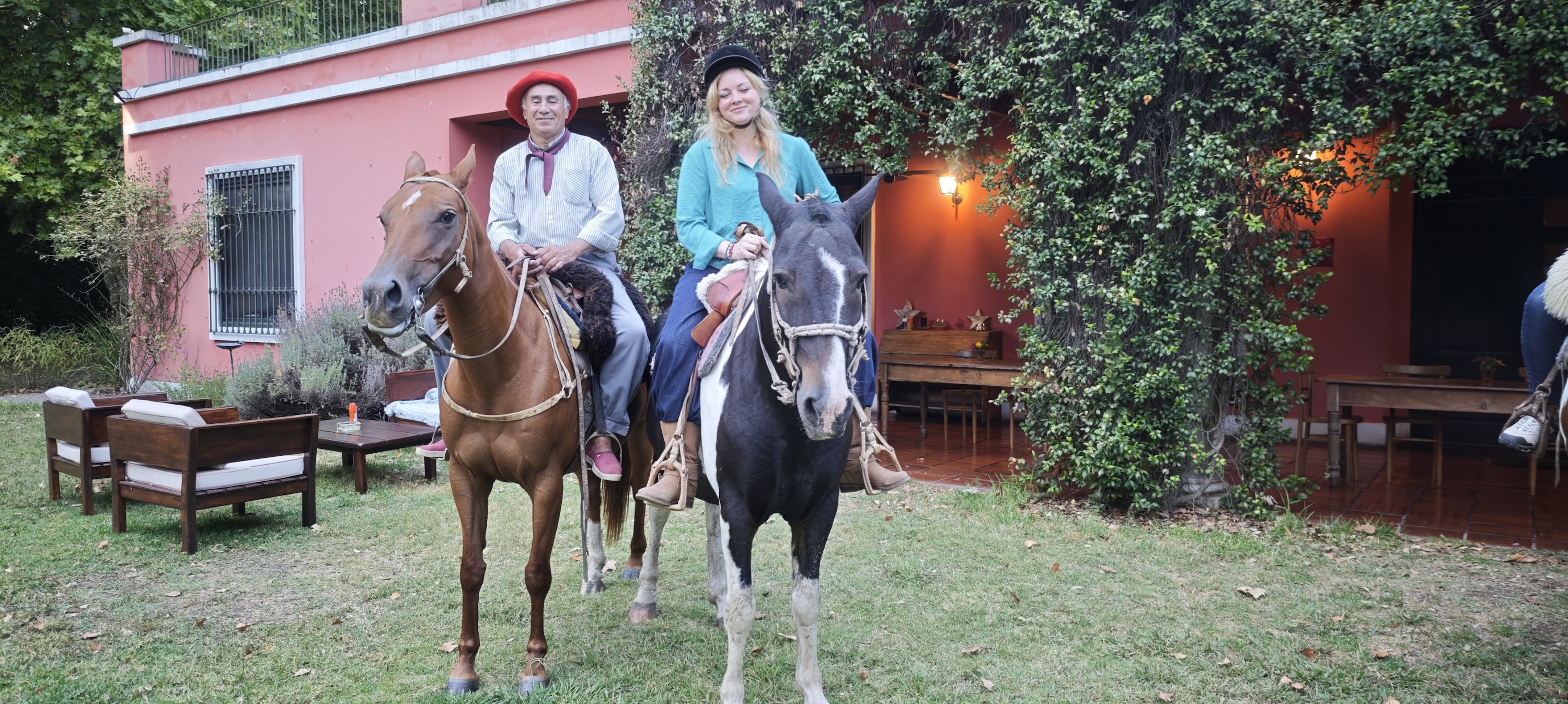 Estancia la Bandada horses