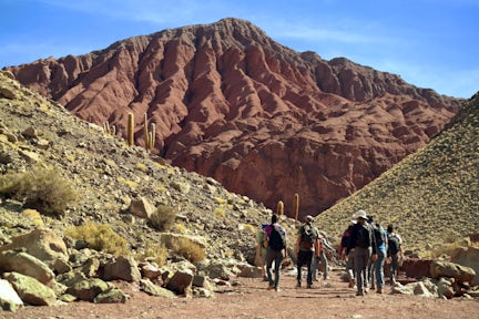Matancilla Valley, Atacama, Chile