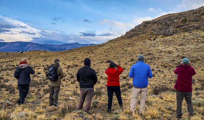Pumas and Birds of Southern Patagonia