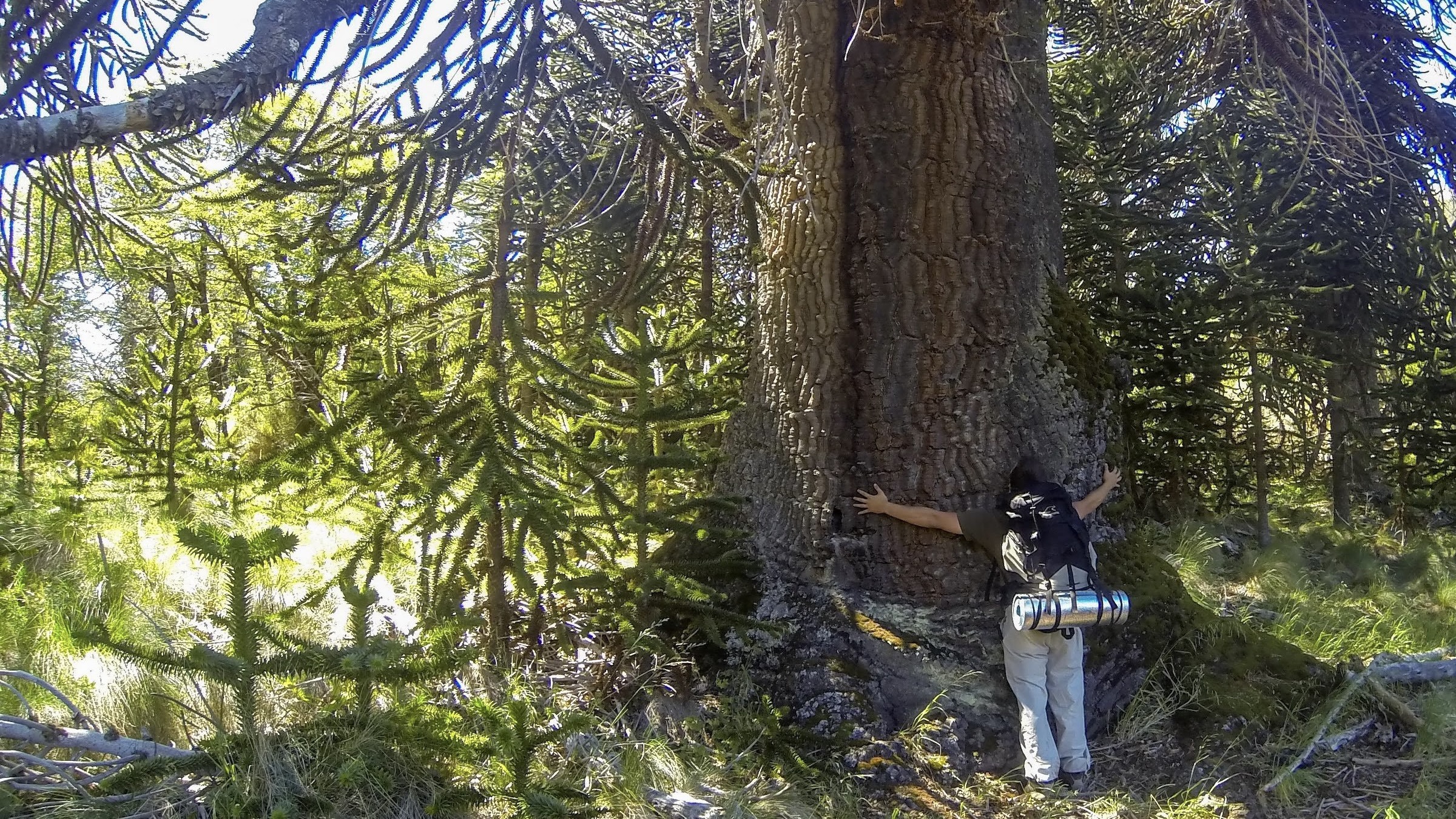 Backcountry hiking & trekking in Patagonia