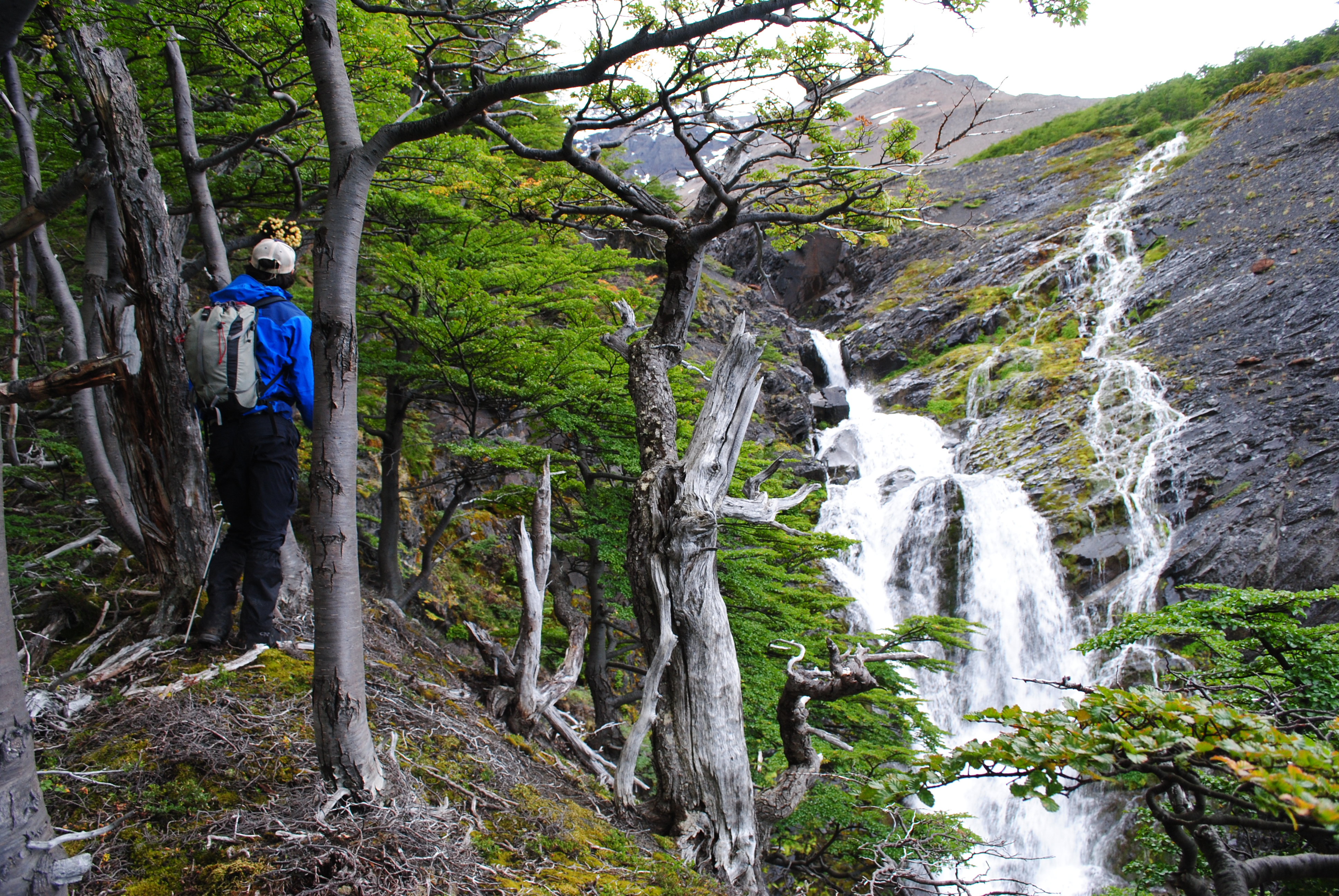 Adventures in Patagonia