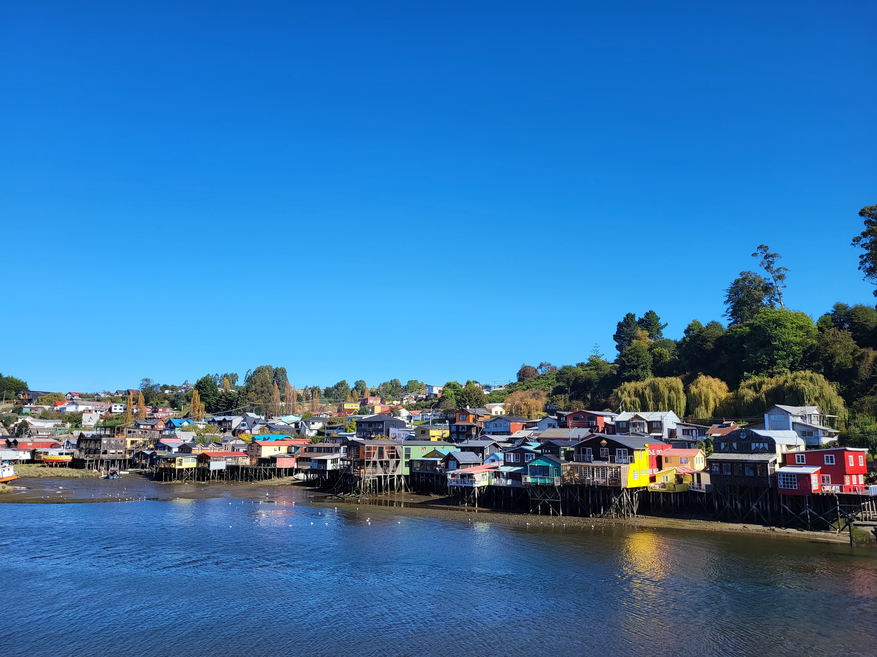 Ultimate Patagonia Cruise