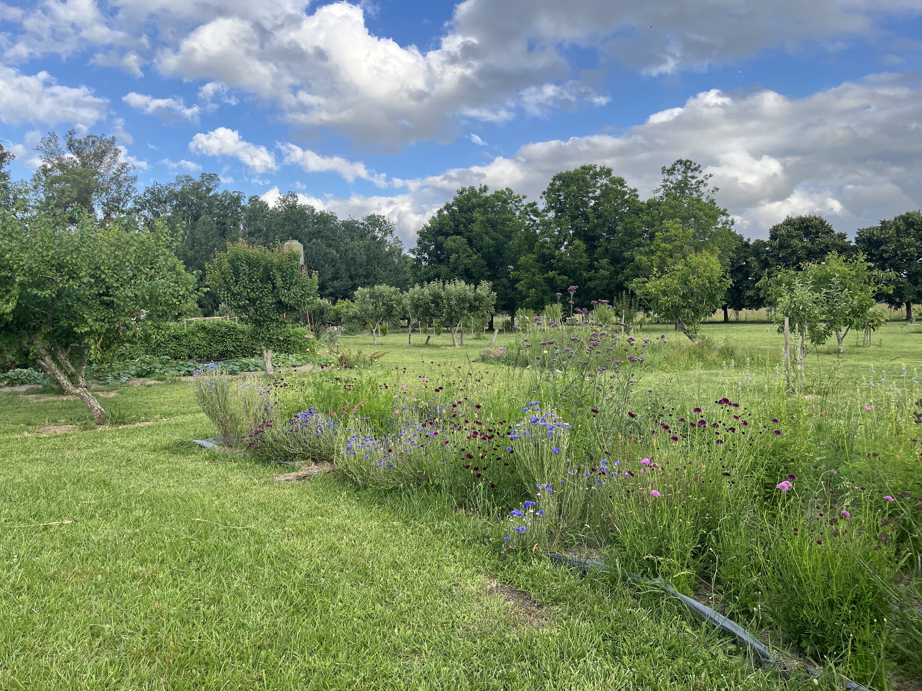 Estancia La Bandada - gardens