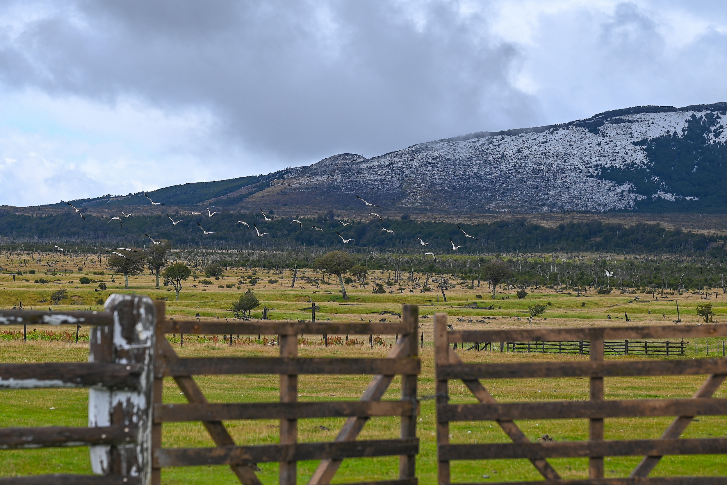 Estancias in Torres del Paine