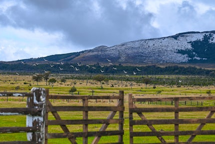 Estancias in Torres del Paine