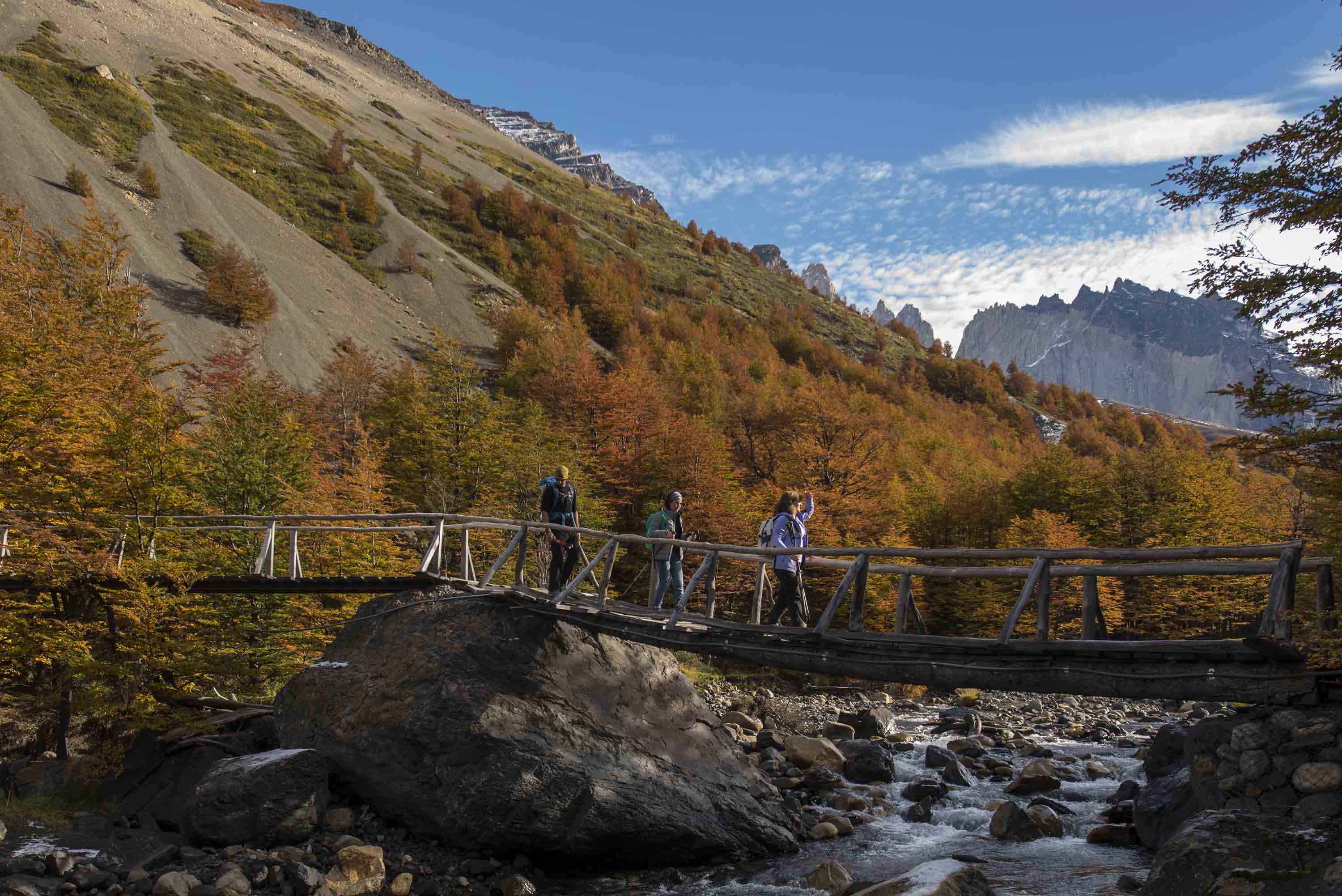 Tierra Patagonia Excursions - Paine