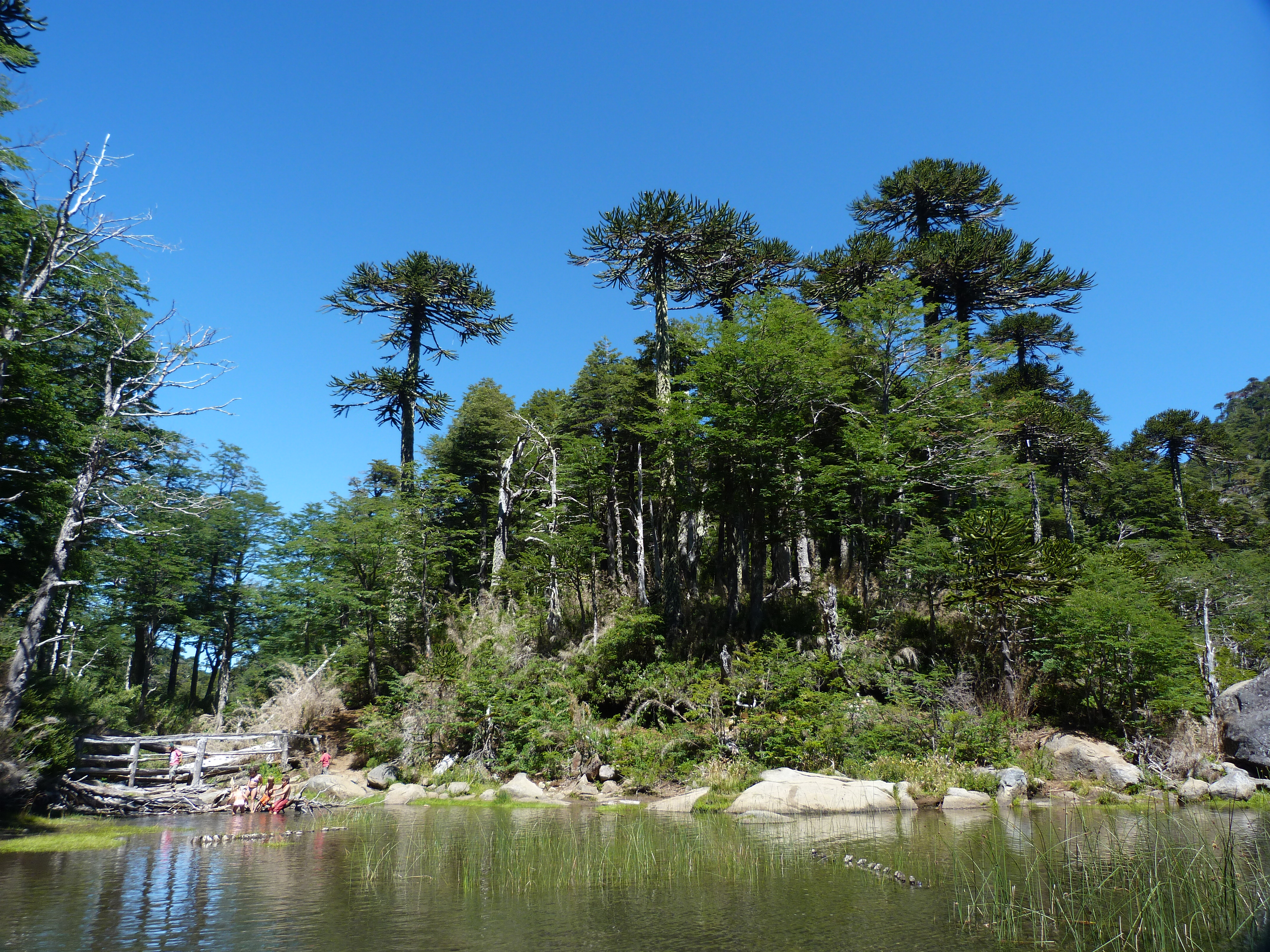 Chilean Lakes Hiking