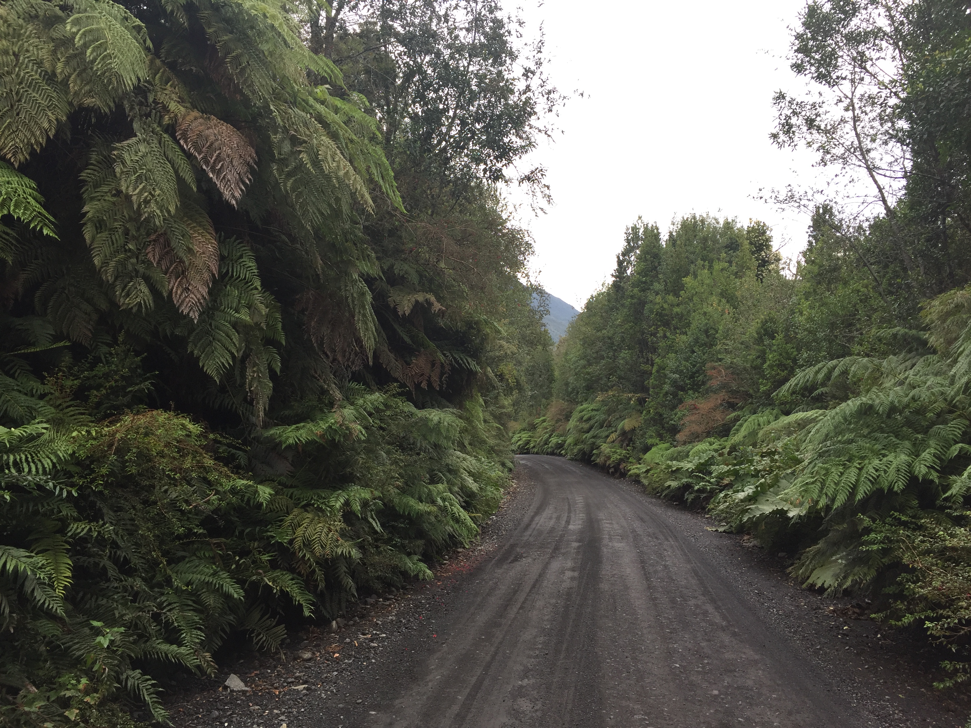 Driving the Carretera Austral in Pumalín Park, Patagonia, Chile