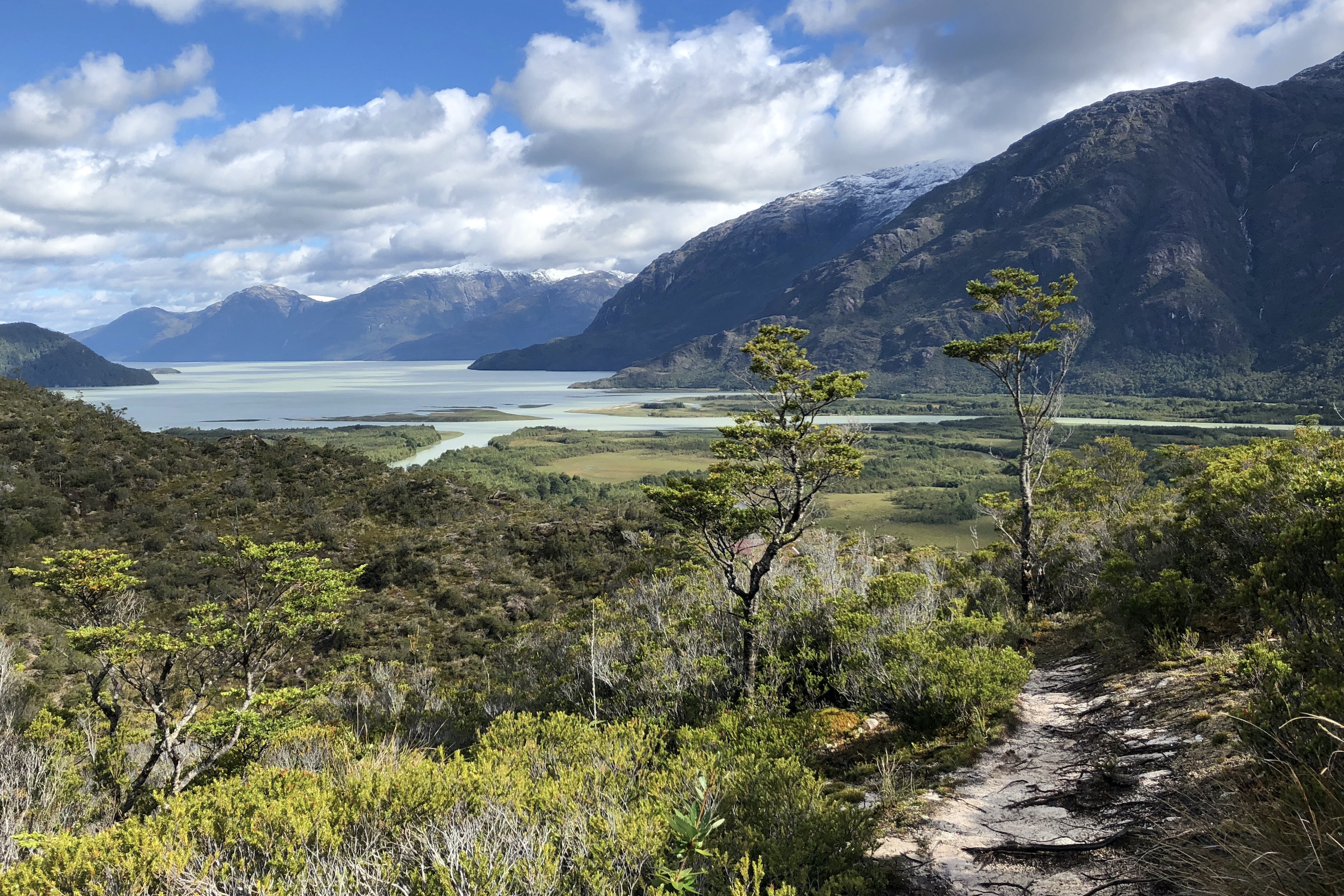 Cerro Bandera hike from Caleta Tortel