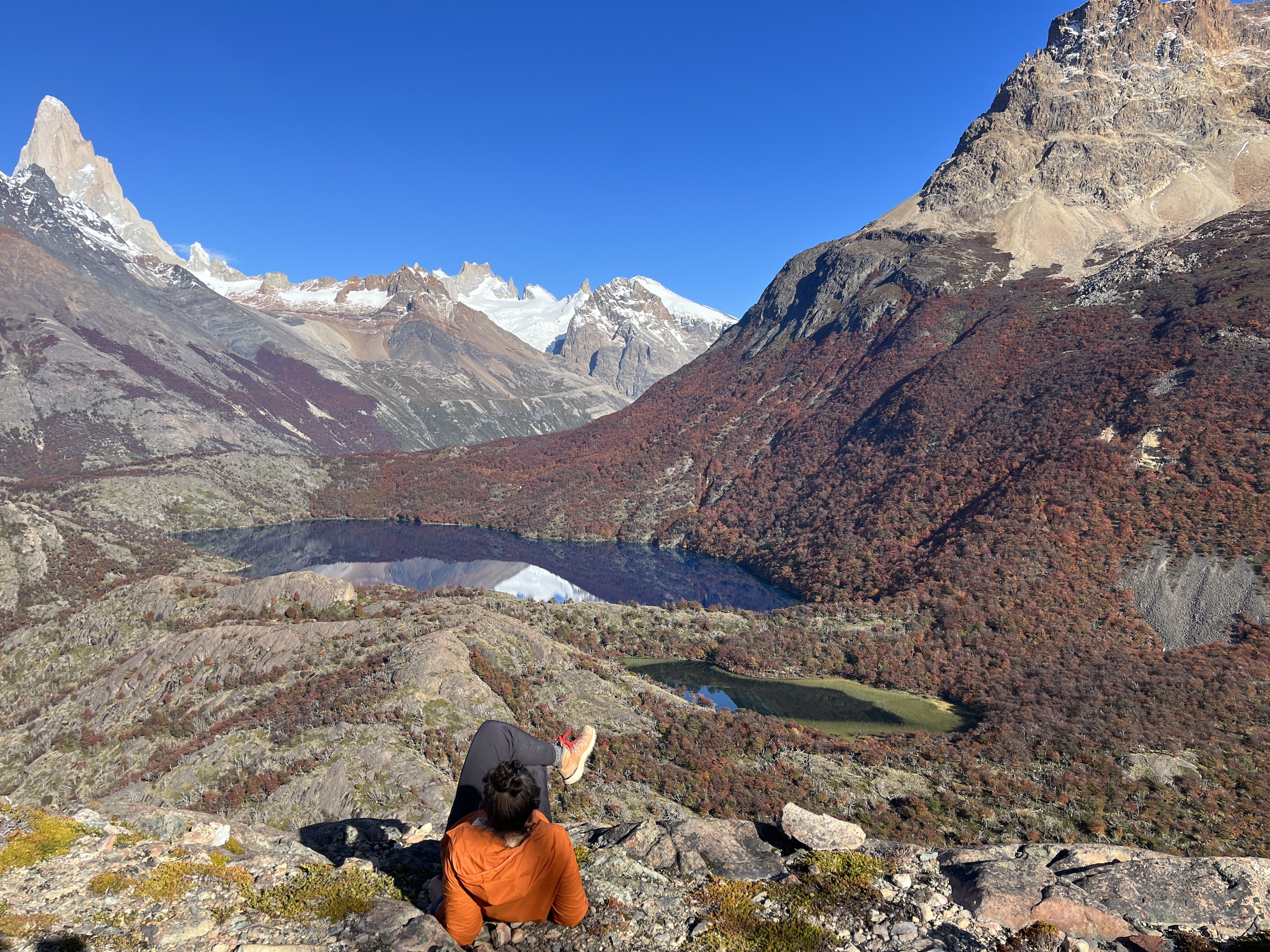 Sydney in Los Huemules Reserve