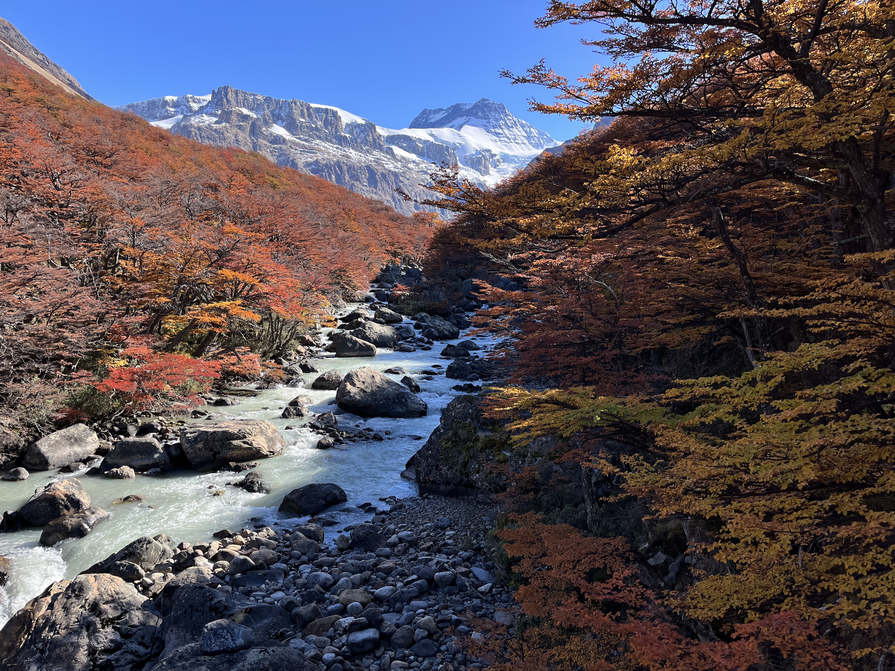 Autumn in Los Huemules Reserve
