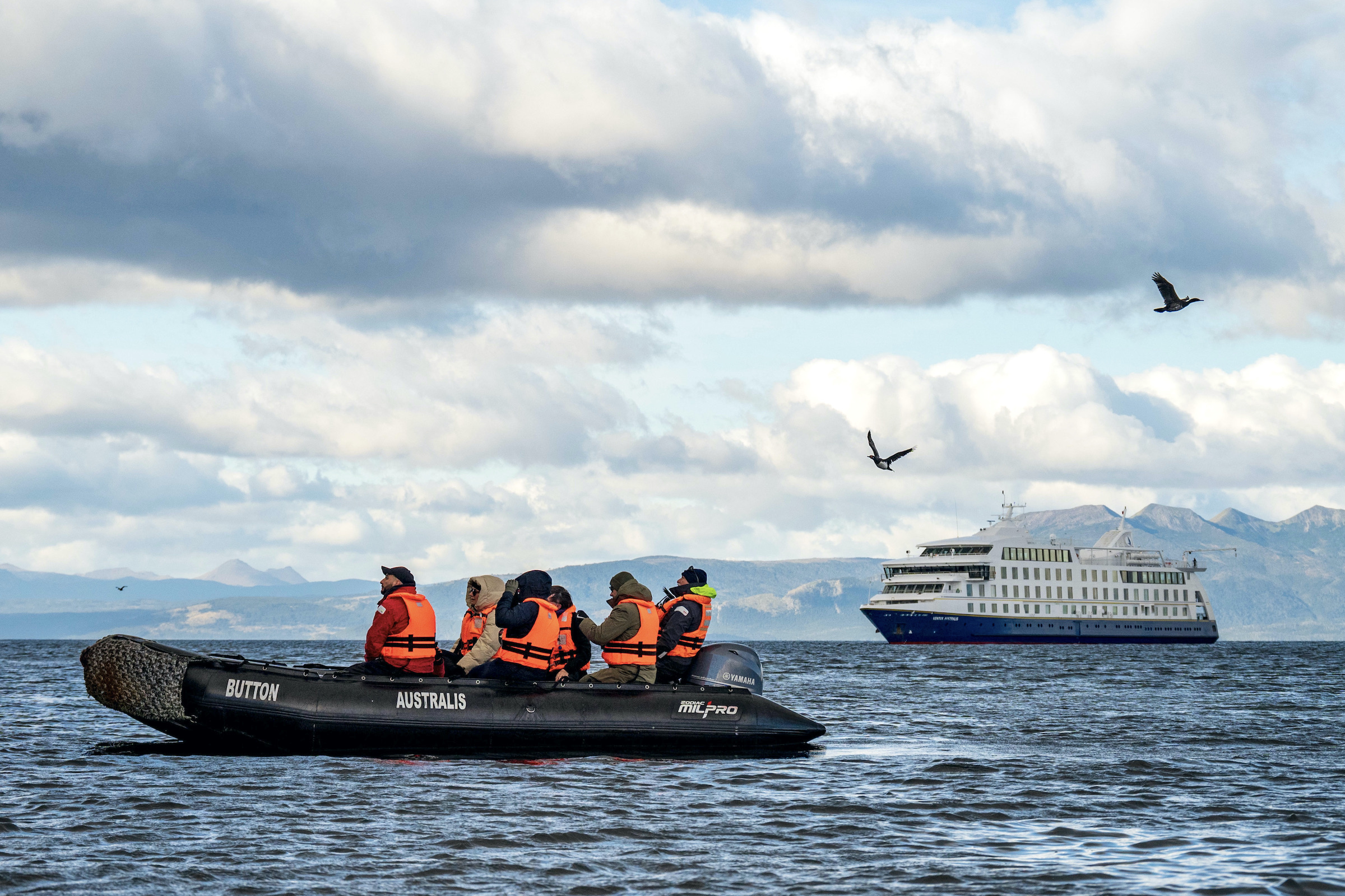Zodiac and Australis cruise ship in Tierra del Fuego