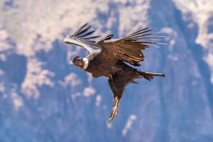 Excursions from EcoCamp Patagonia