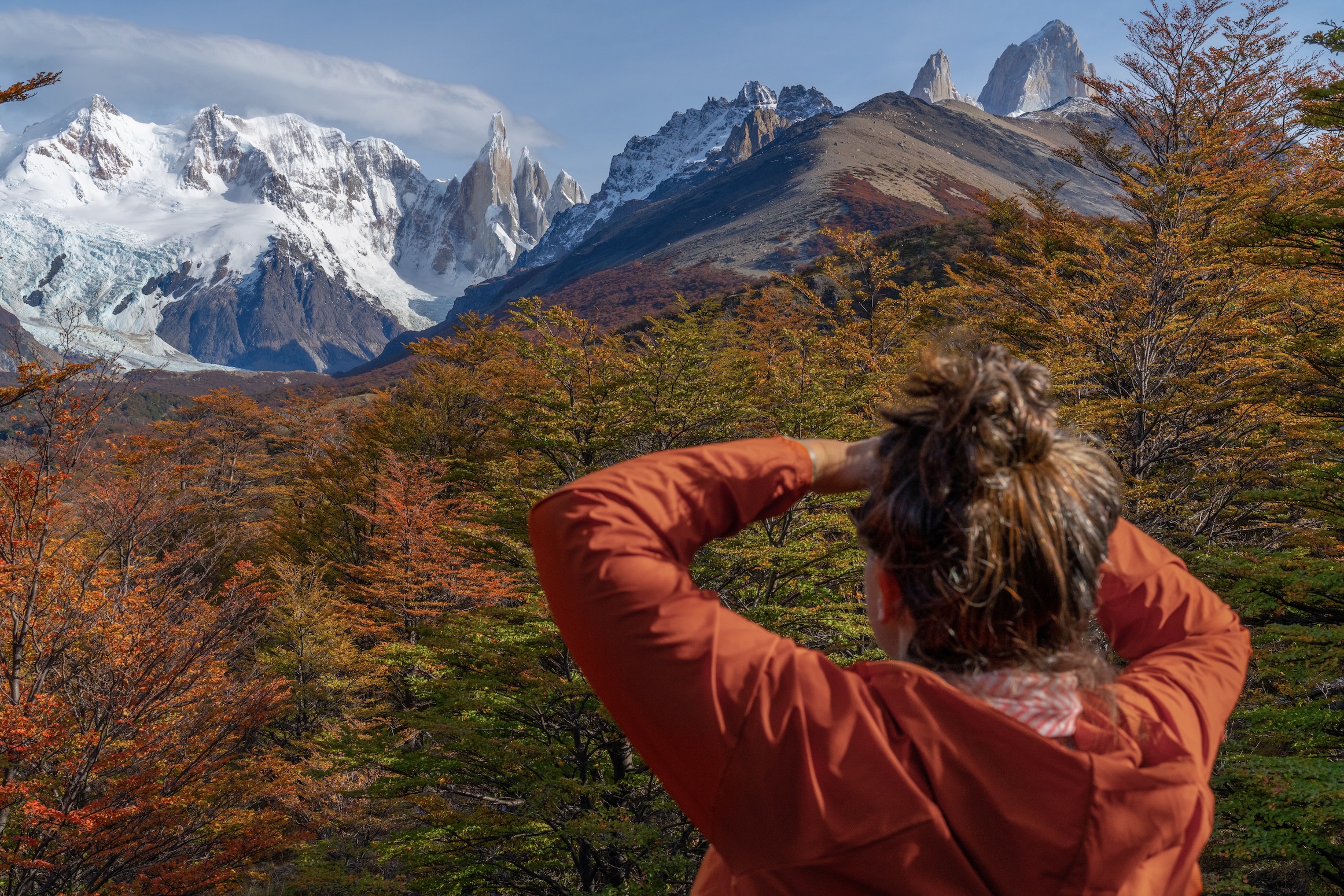 Autumn colours of trees in Los Glaciares