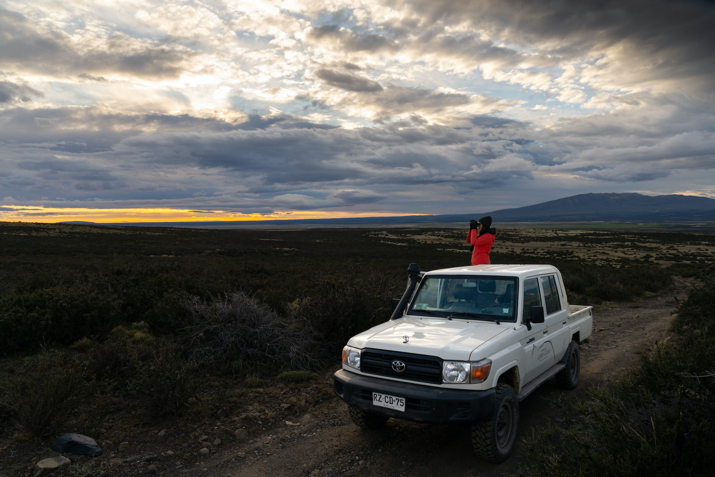 Looking for pumas by jeep from Estancia Cerro Guido in Torres del Paine