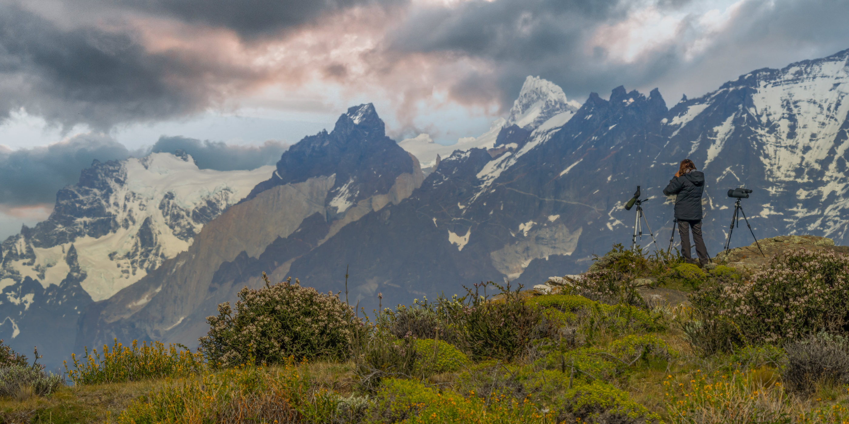 A wildlife guide scans the horizon for pumas in Torres del Paine