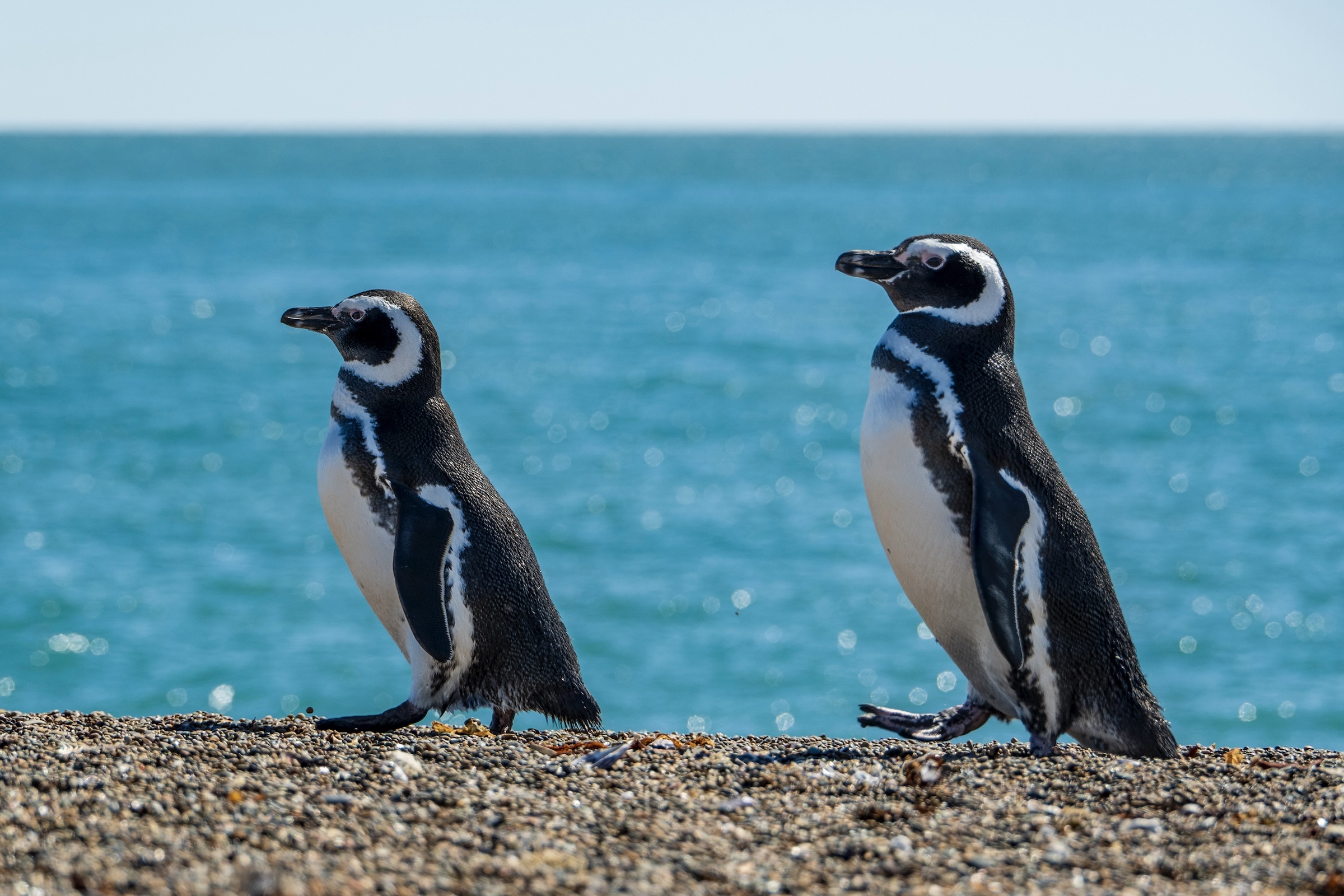 Argentinian Patagonia