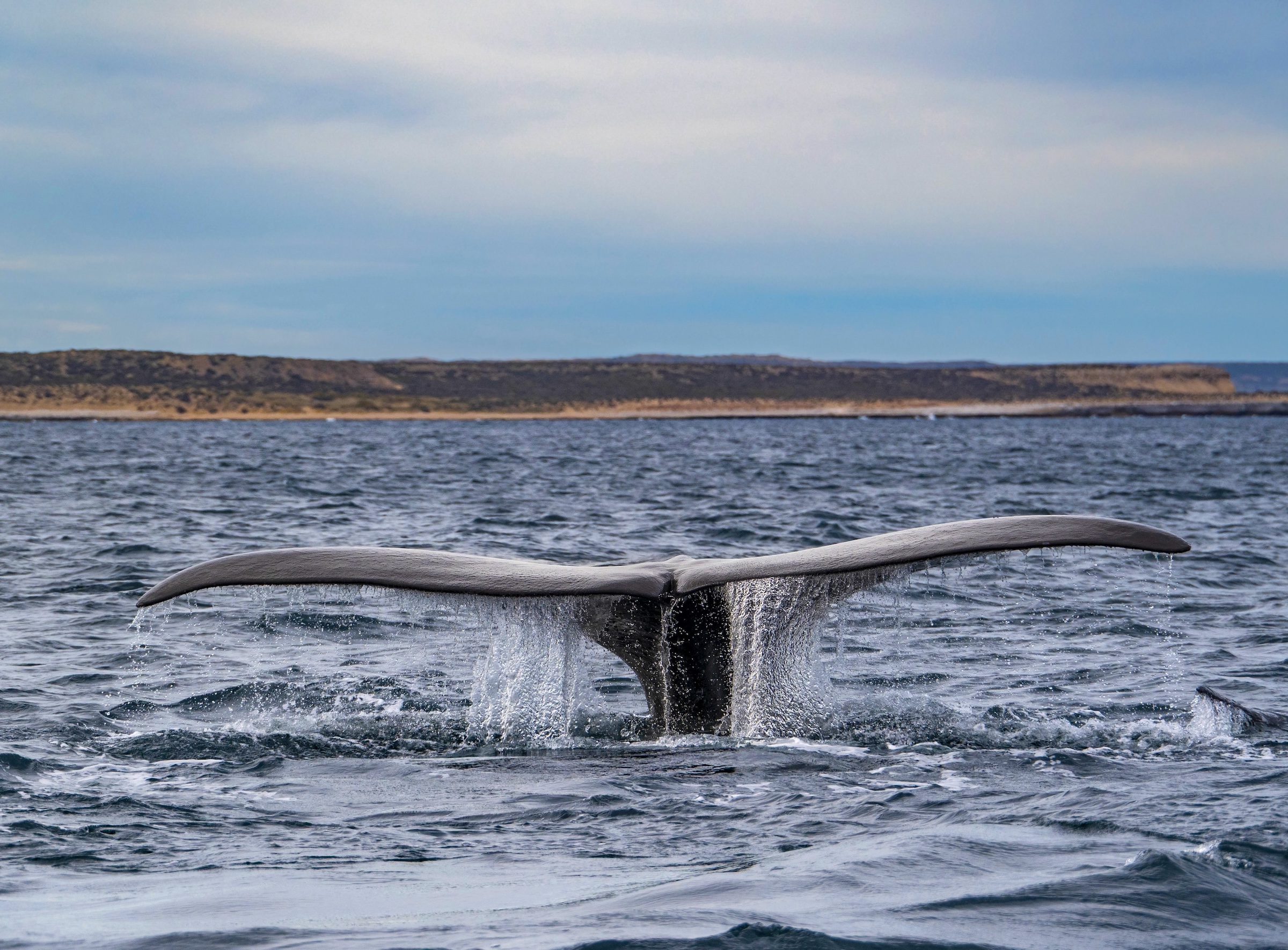 Argentinian Patagonia