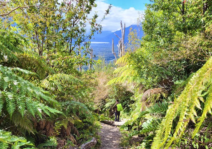 Descending from the caldera of Chaitén Volcano in Pumalín Douglas Tomplins National Park, Chile