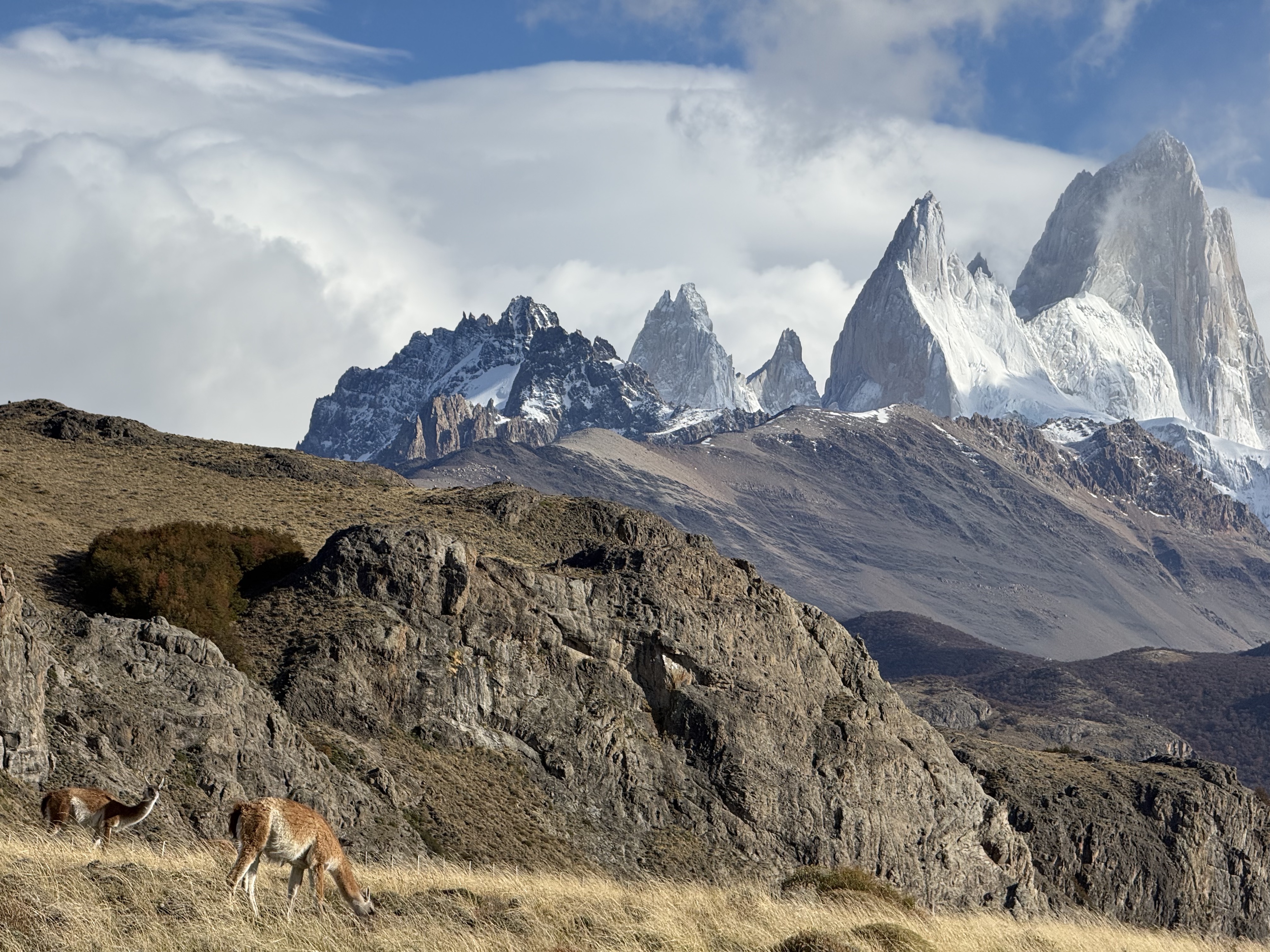 Glaciers to Towers in Comfort: El Calafate and Torres del Paine