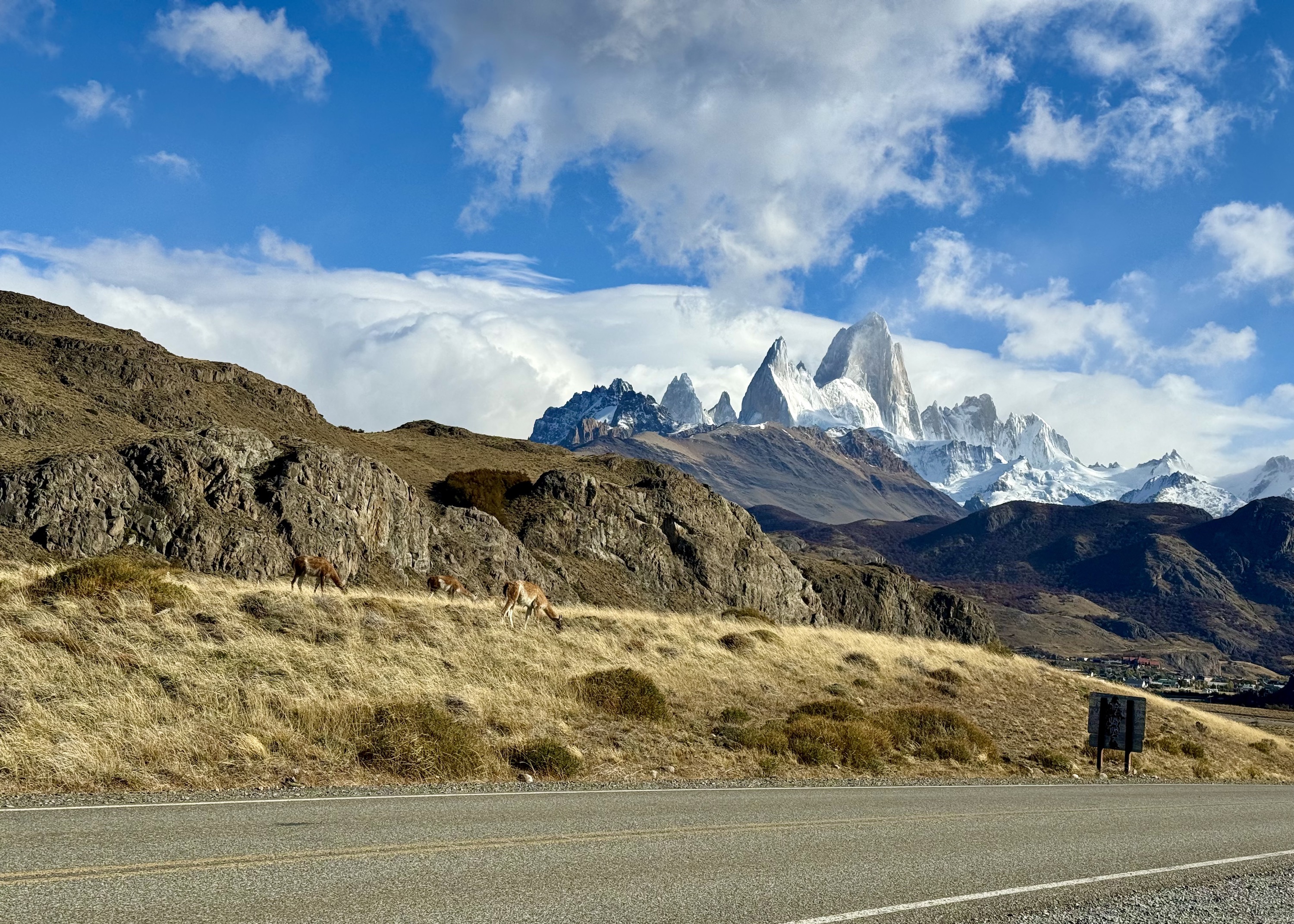 Glaciers to Towers Active: El Calafate and Torres del Paine