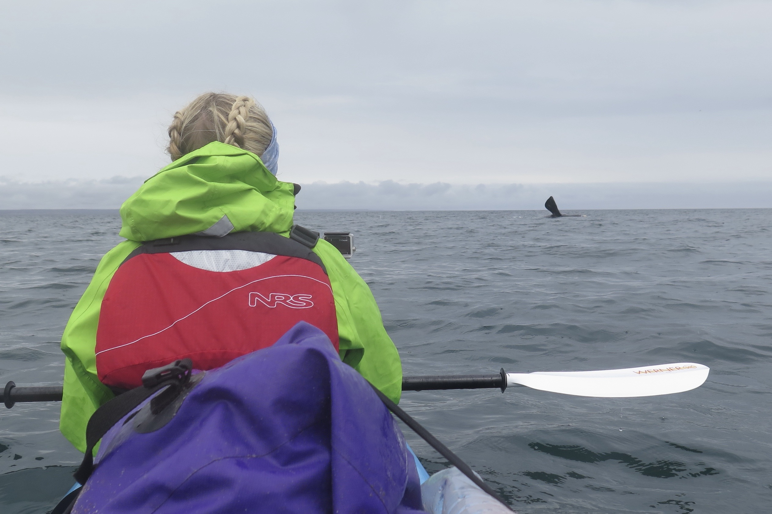 LJ - Valdes Kayaking