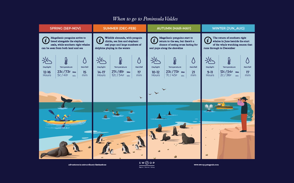 Season by season when to go illustrated guide to Peninsula Valdes in Argentina