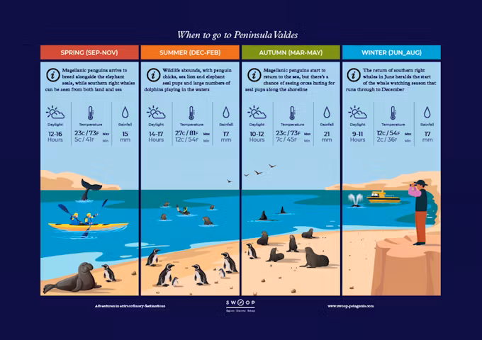 Season by season when to go illustrated guide to Peninsula Valdes in Argentina