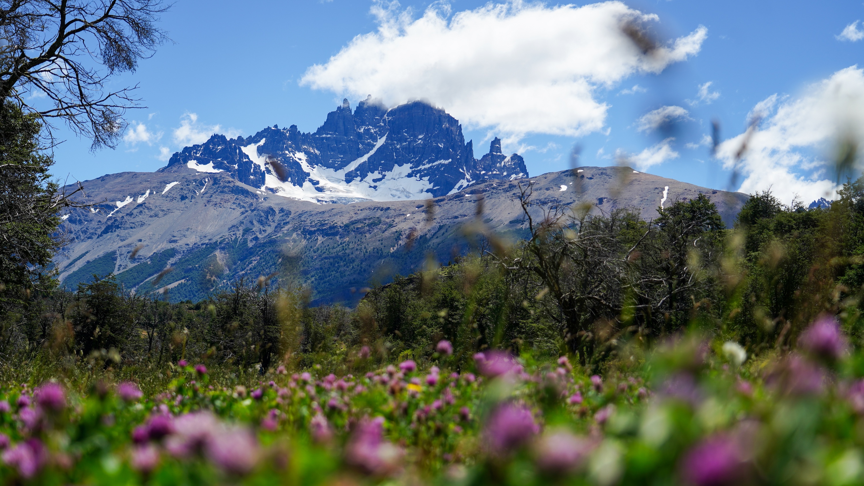 Cerro Castillo Trek - Tomas recce - outskirts of Cerro Castillo