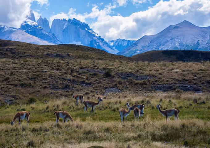 Patagonia in March