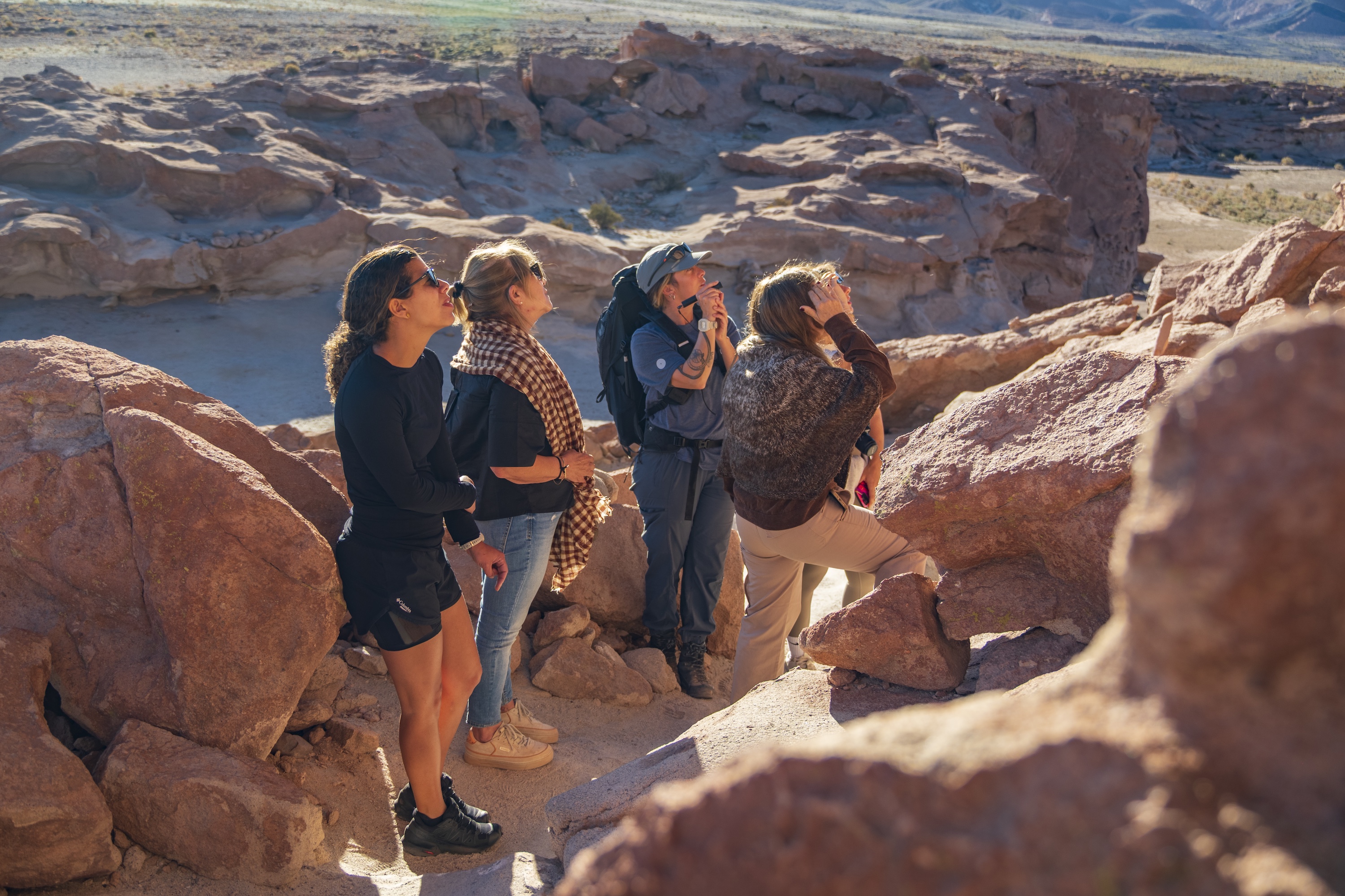 Tierra Atacama excursions - Purliactis Valley