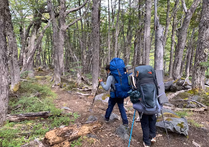 Cerro Castillo Trek - Felipe recce - forests