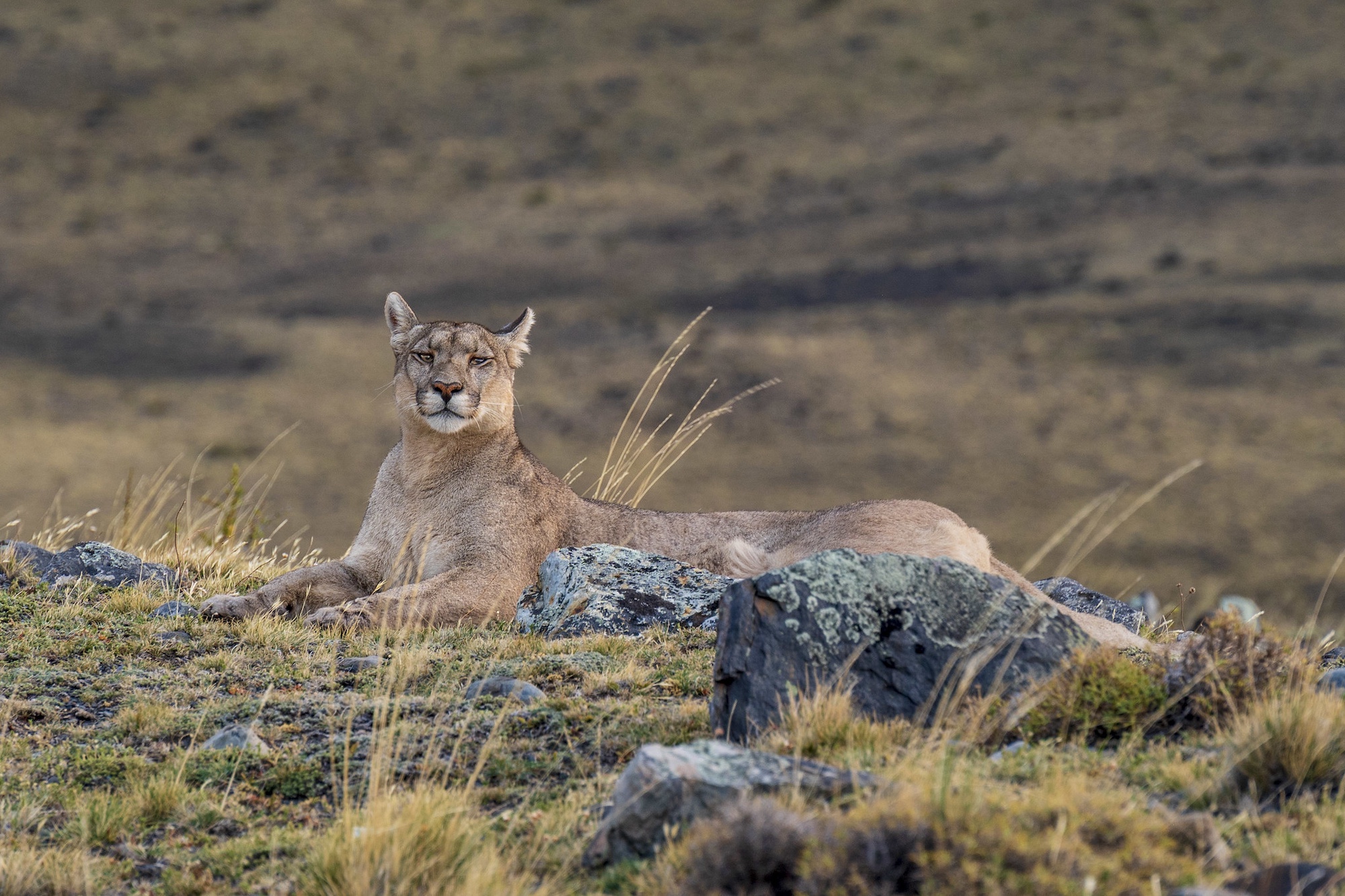 Tierra Patagonia excursions