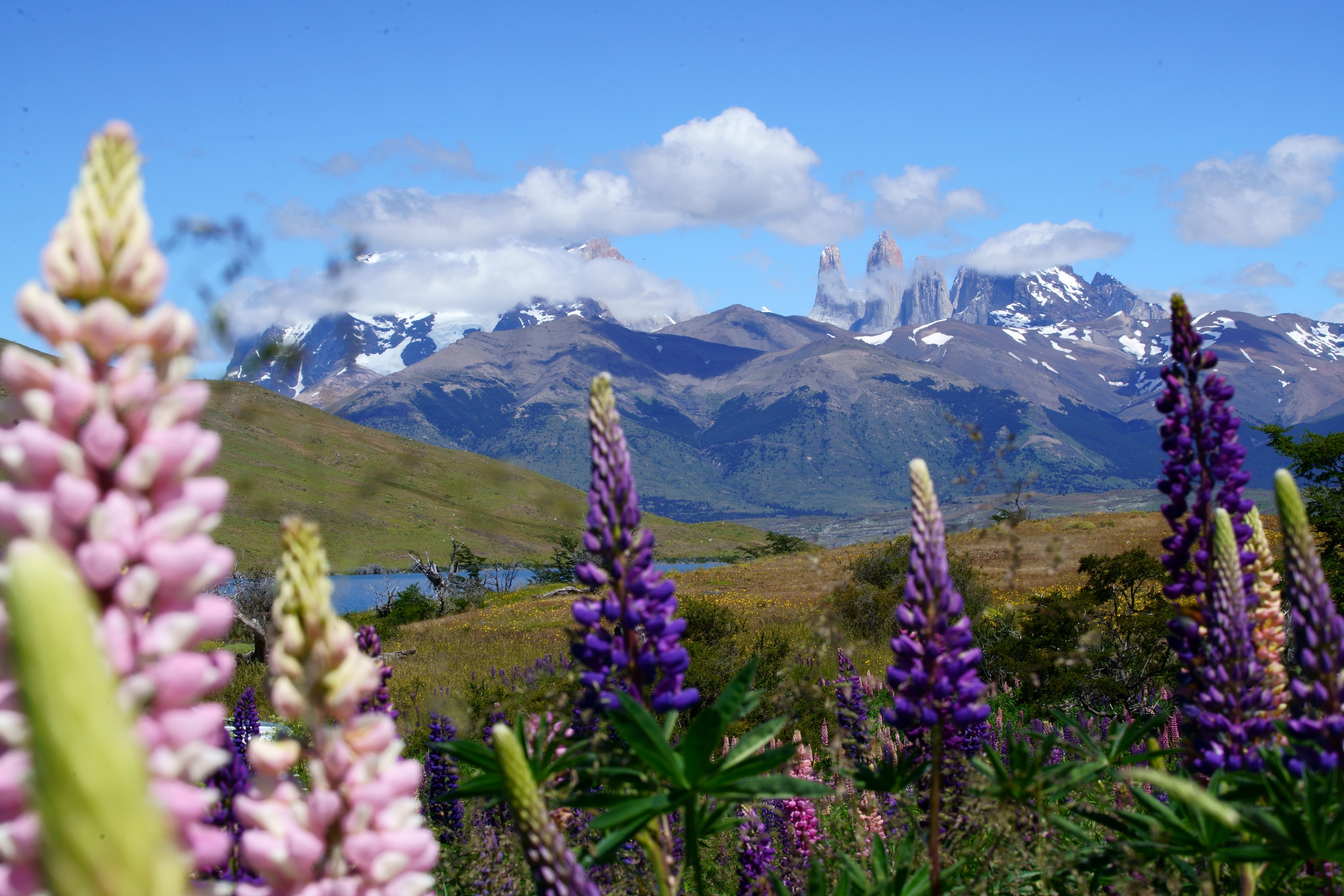 Excursions from Estancia Cerro Guido