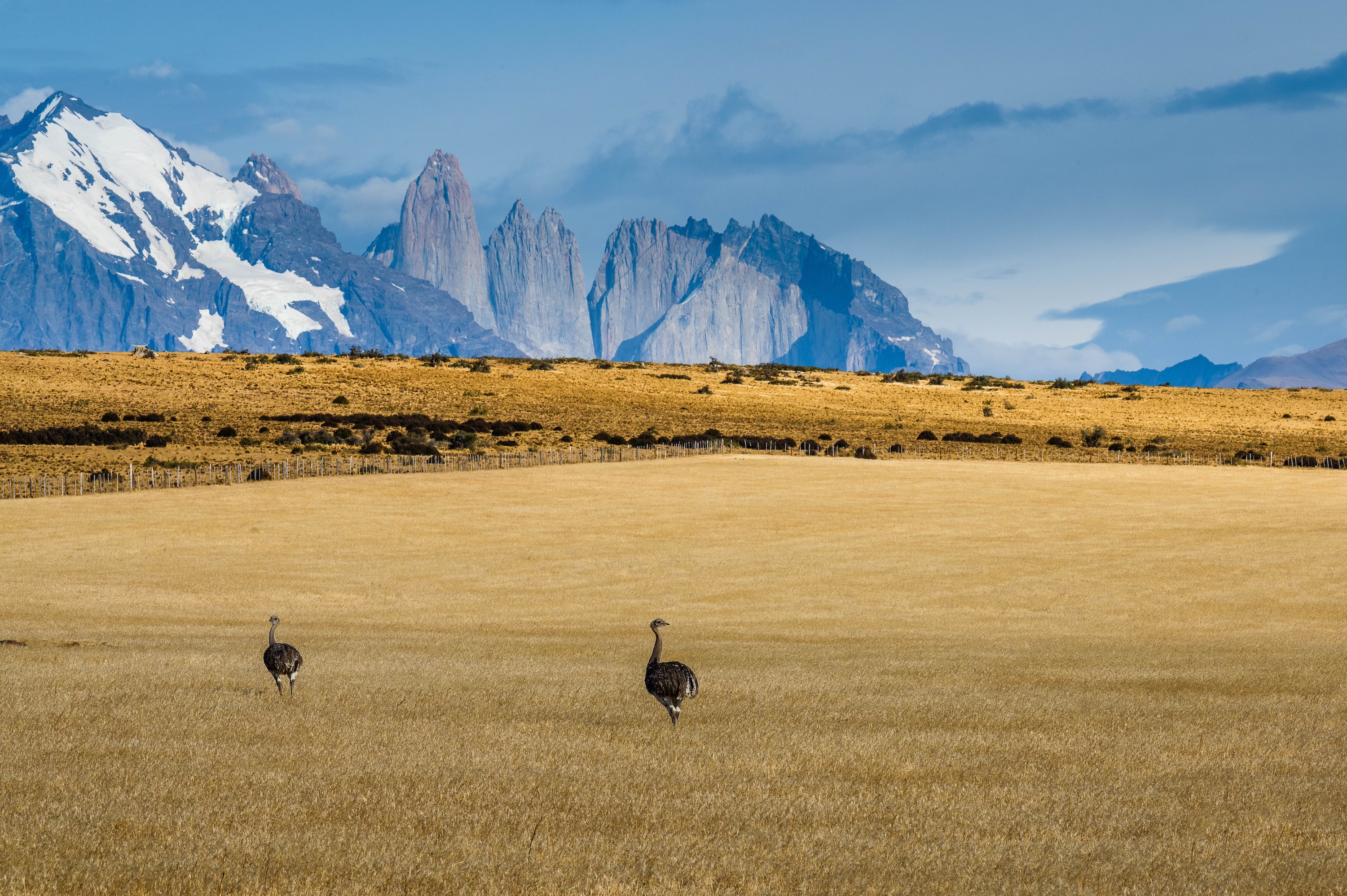 Explora Torres del Paine Conservation Reserve - Luxury Lodge Adventure