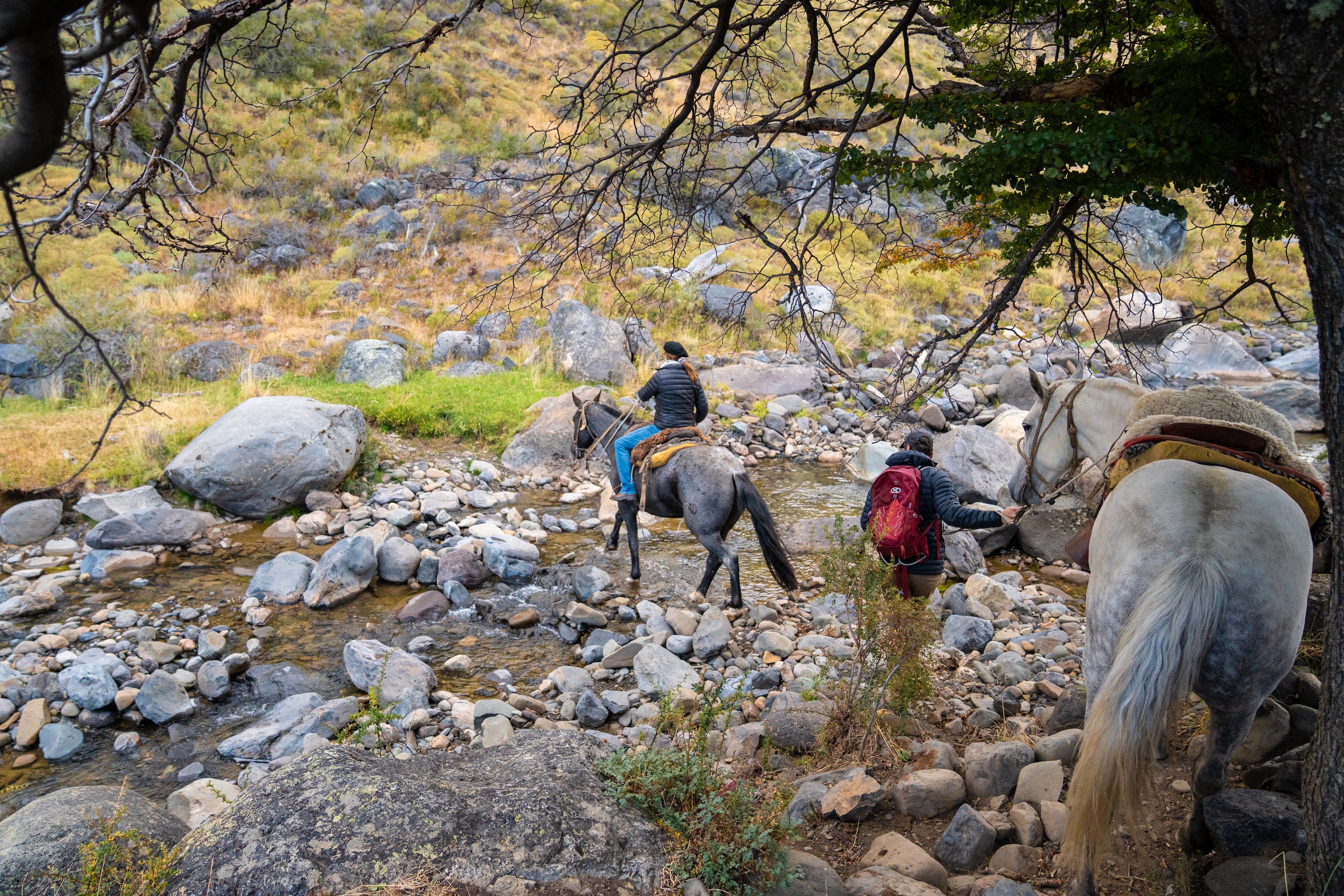 Excursions from Explora El Calafate