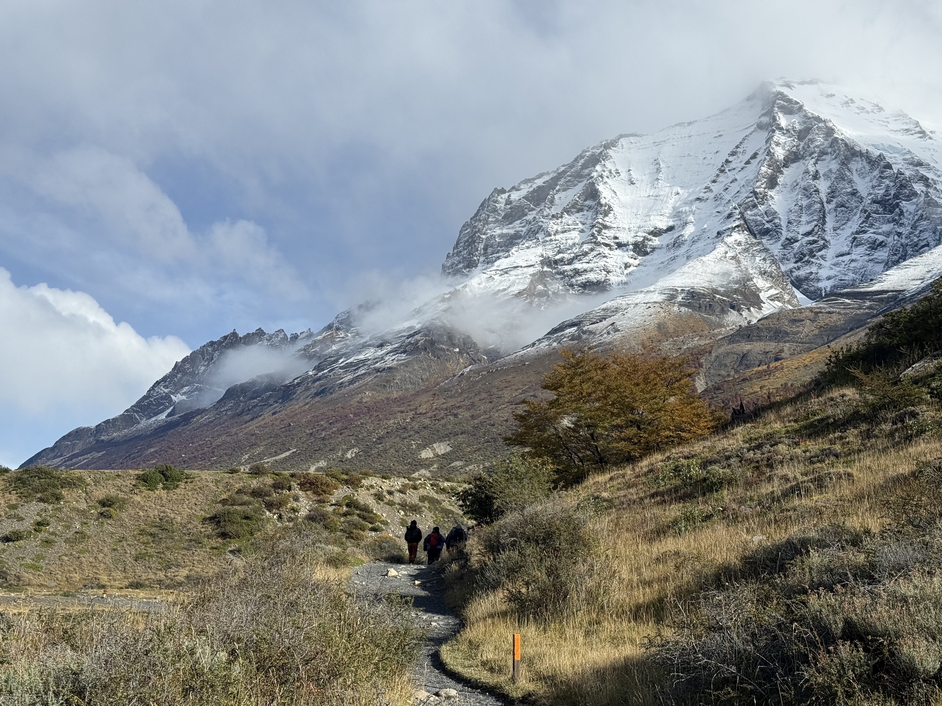 The W Trek